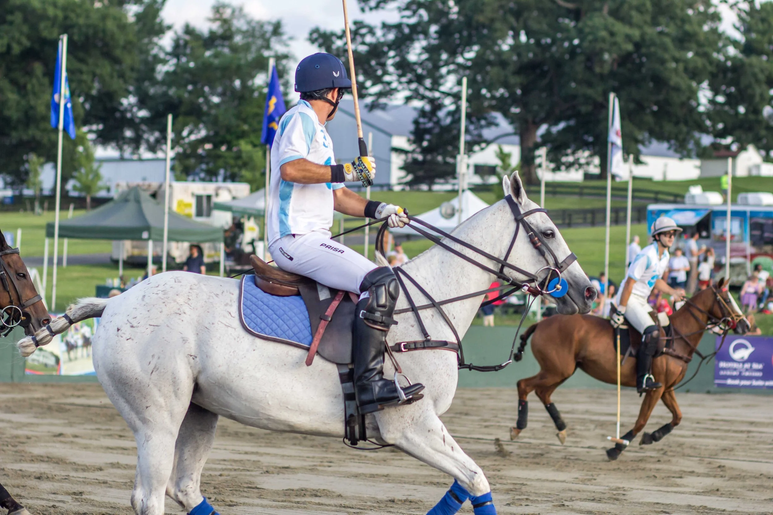 Polo in the Park -  Morven Parl -JULY 25 2026 _-100.jpg