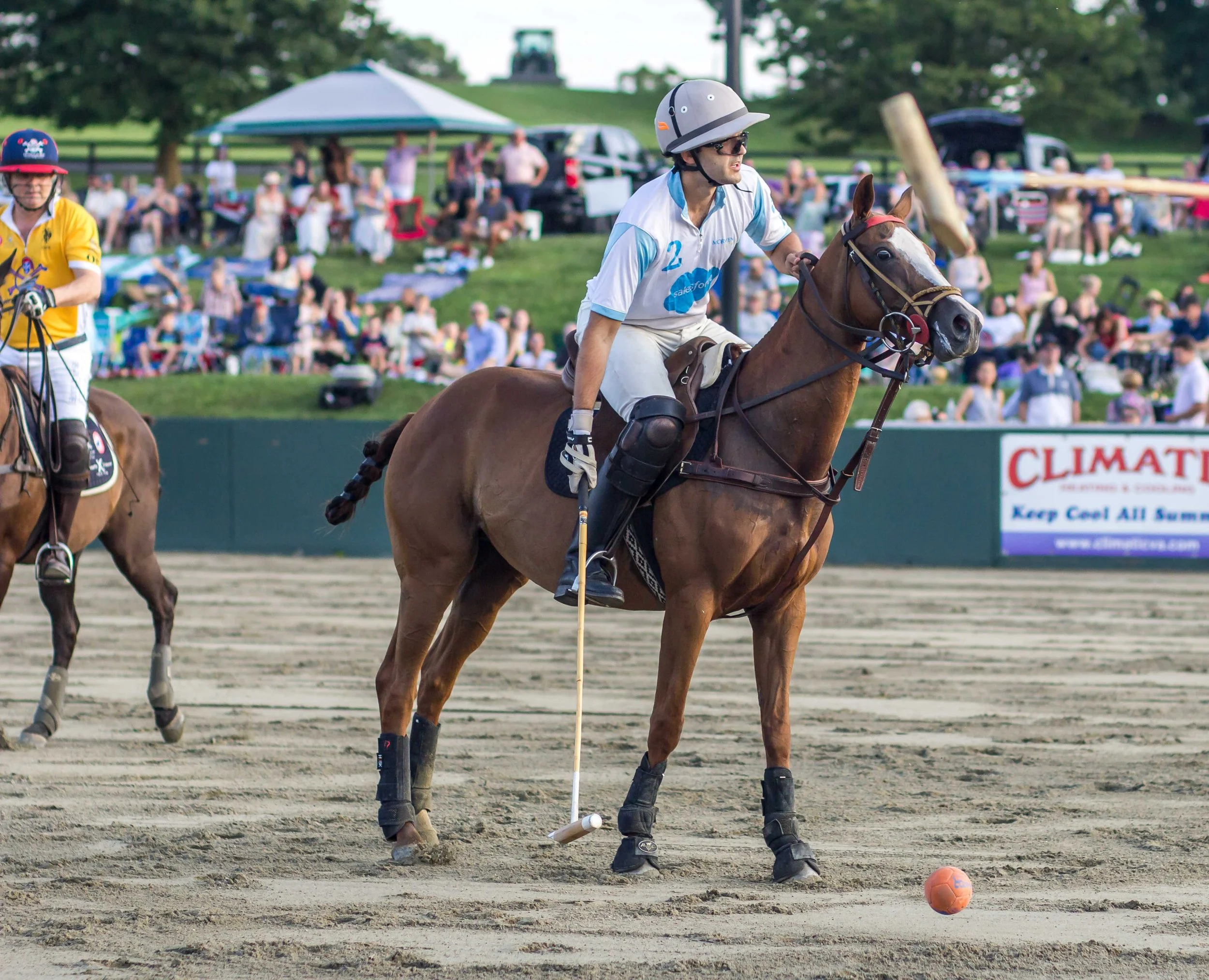 Polo in the Park -  Morven Parl -JULY 25 2026 _-105.jpg