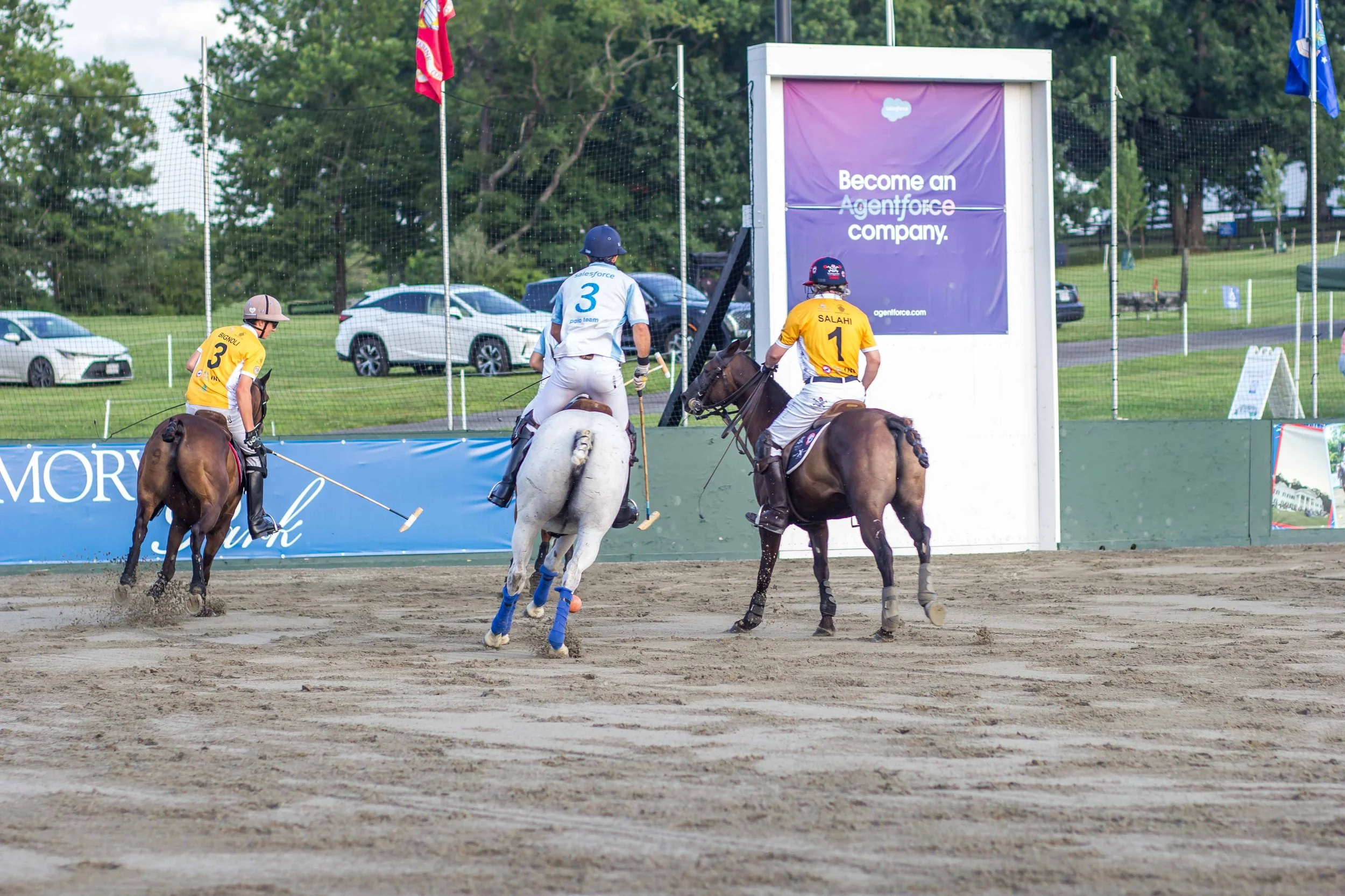 Polo in the Park -  Morven Parl -JULY 25 2026 _-111.jpg