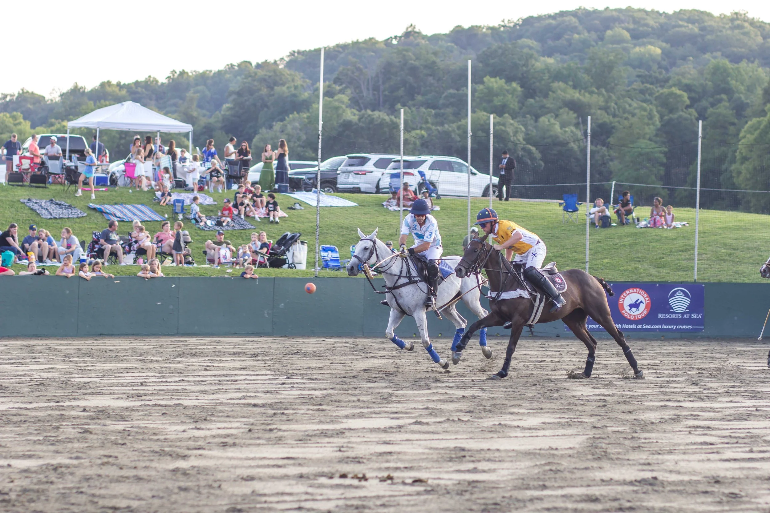 Polo in the Park -  Morven Parl -JULY 25 2026 _-116.jpg