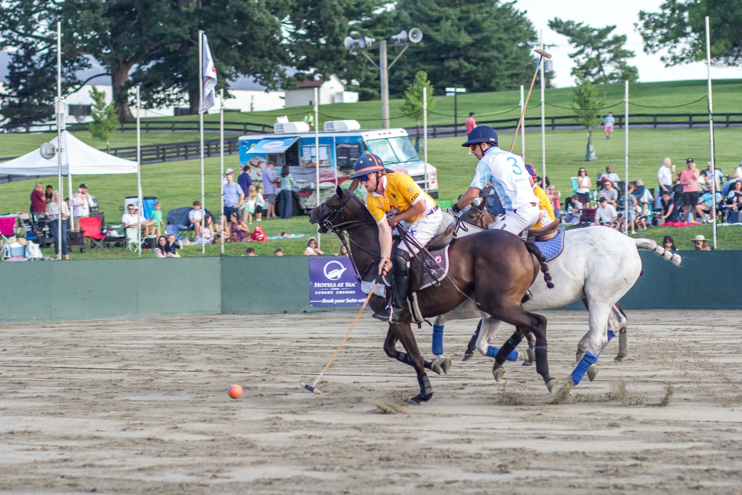 Polo in the Park -  Morven Parl -JULY 25 2026 _-118.jpg