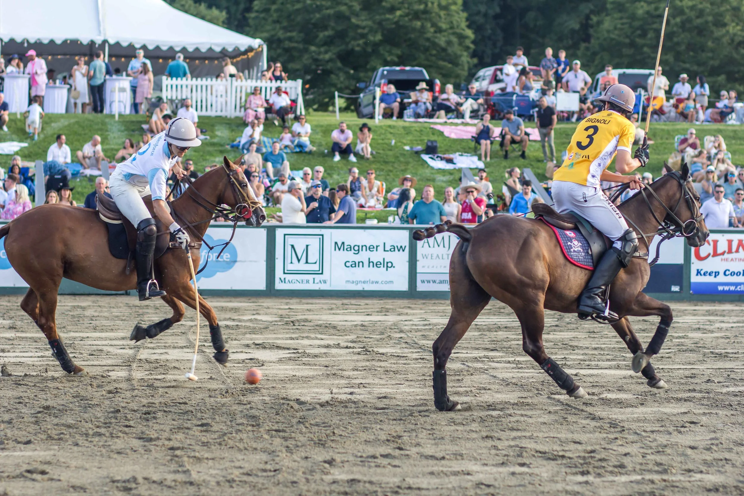 Polo in the Park -  Morven Parl -JULY 25 2026 _-123.jpg