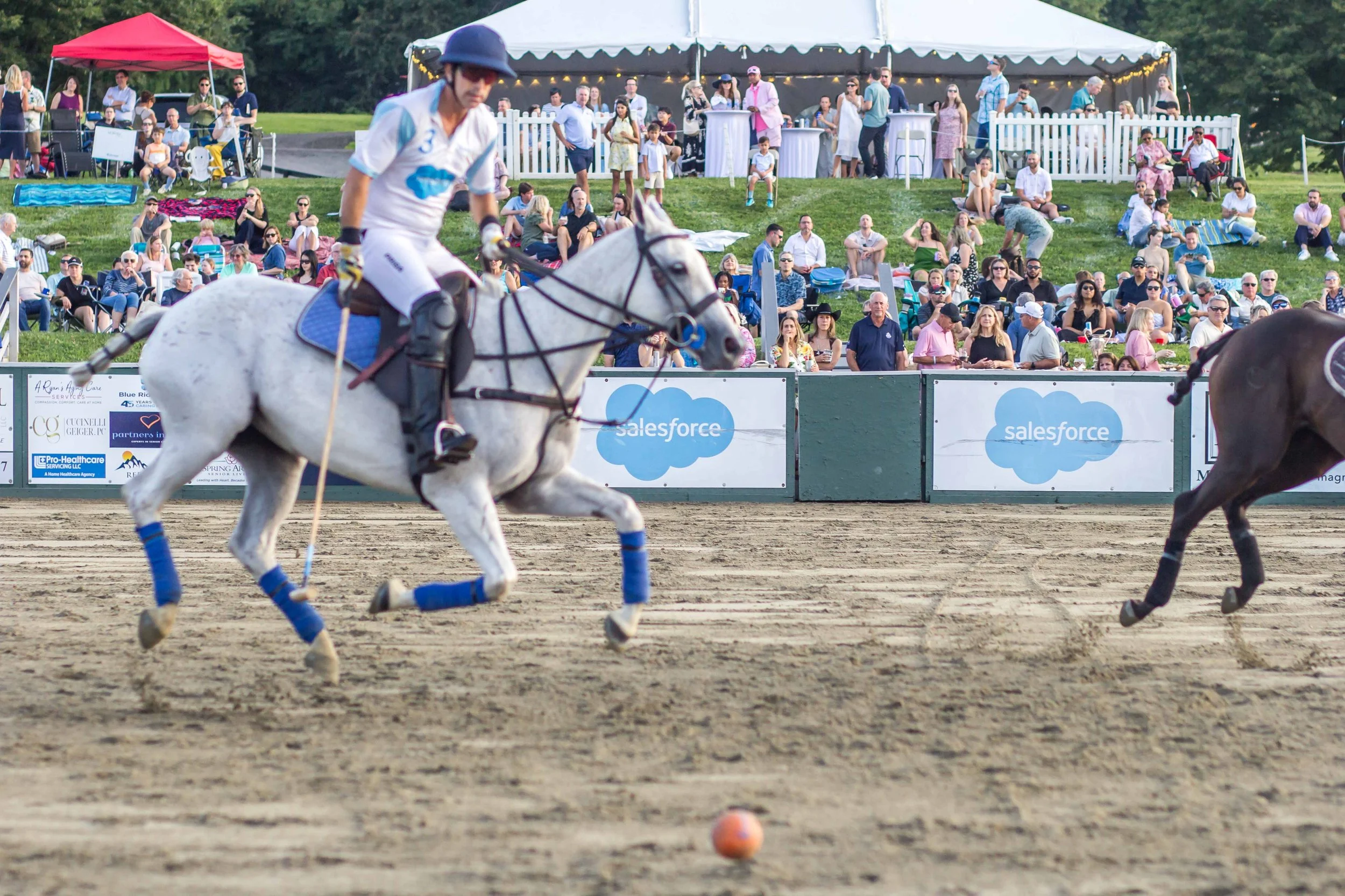 Polo in the Park -  Morven Parl -JULY 25 2026 _-135.jpg
