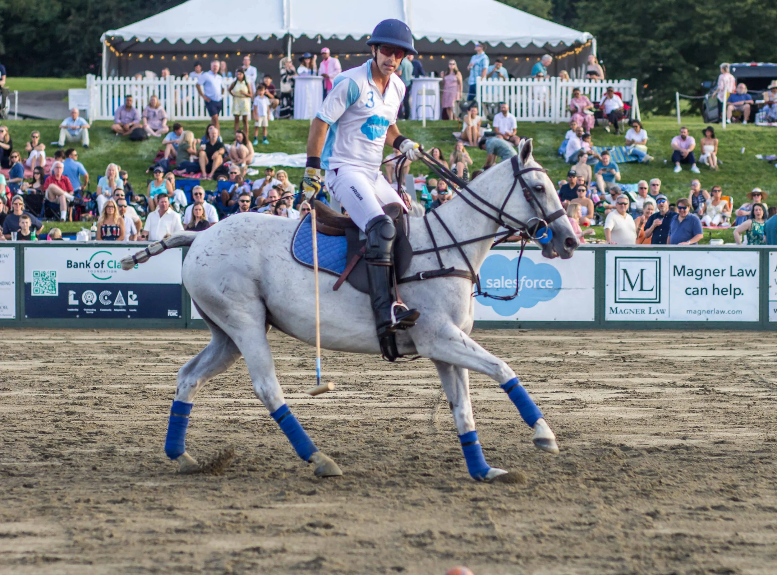 Polo in the Park -  Morven Parl -JULY 25 2026 _-136.jpg