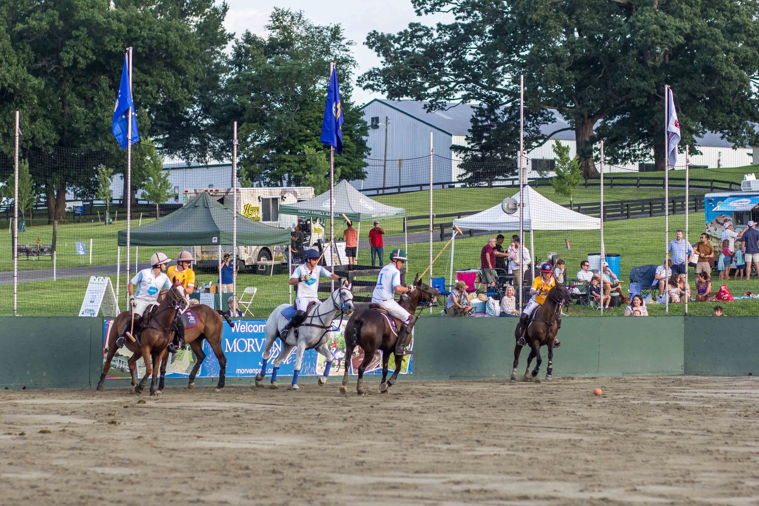 Polo in the Park -  Morven Parl -JULY 25 2026 _-149.jpg