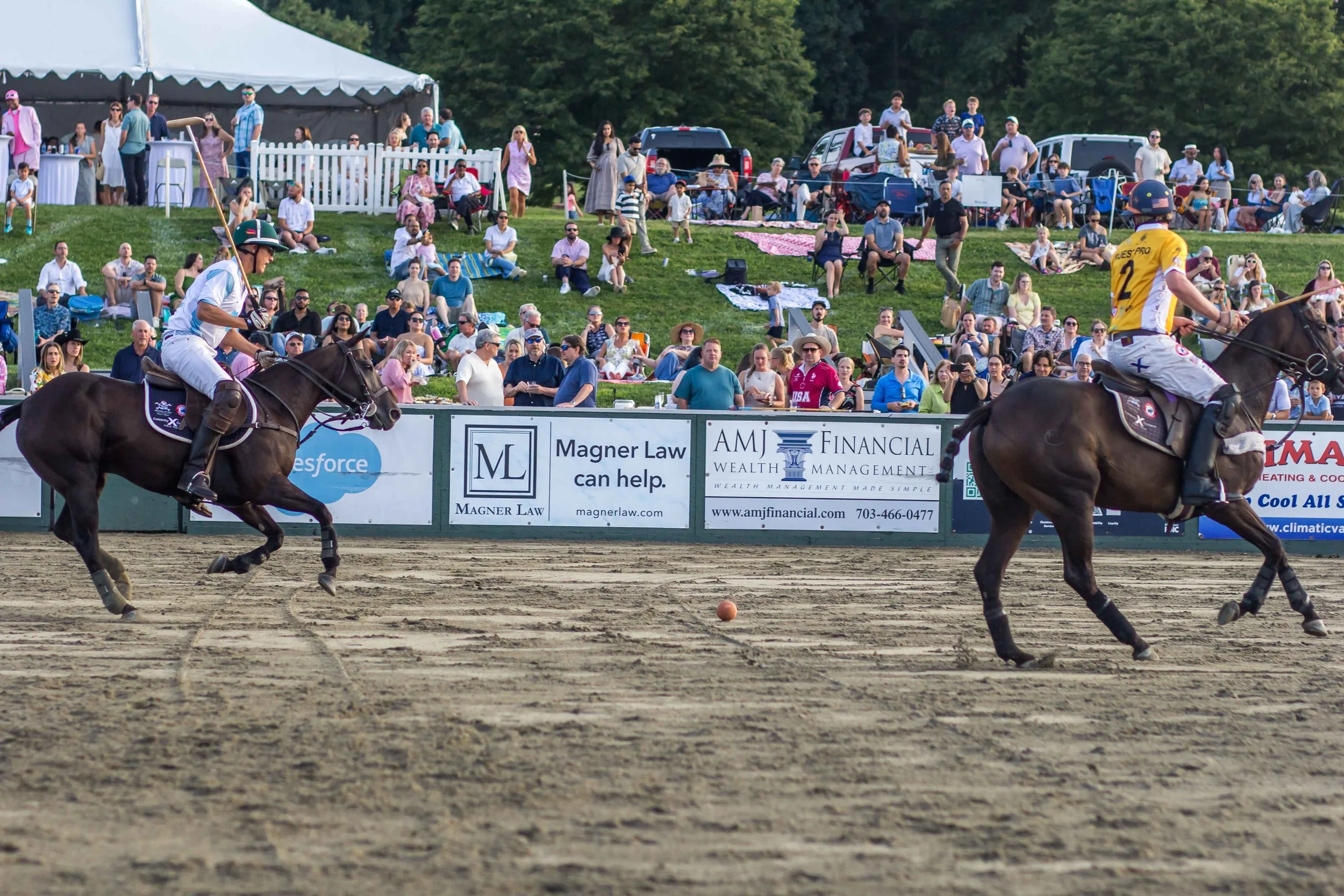Polo in the Park -  Morven Parl -JULY 25 2026 _-153.jpg