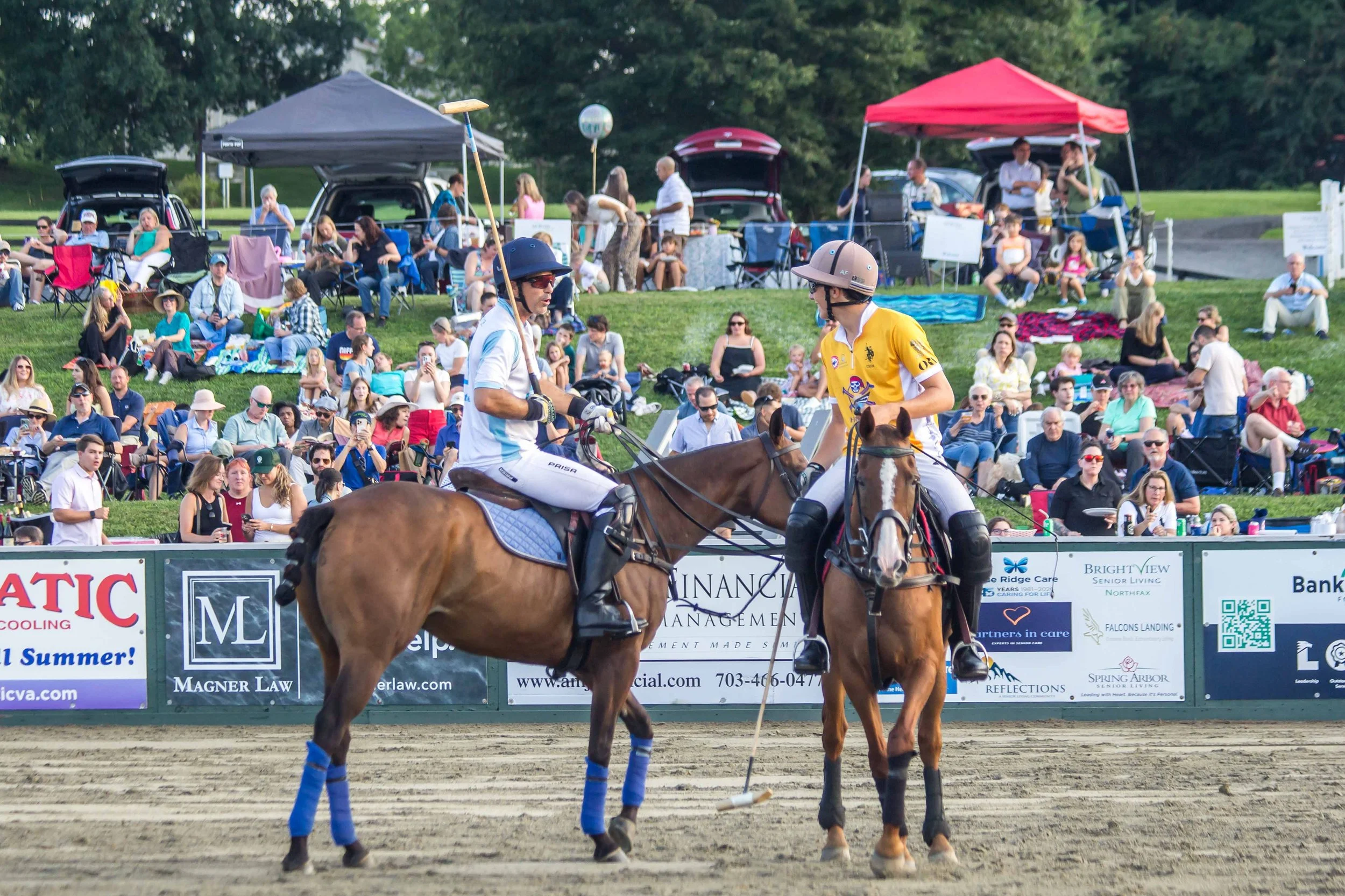 Polo in the Park -  Morven Parl -JULY 25 2026 _-162.jpg