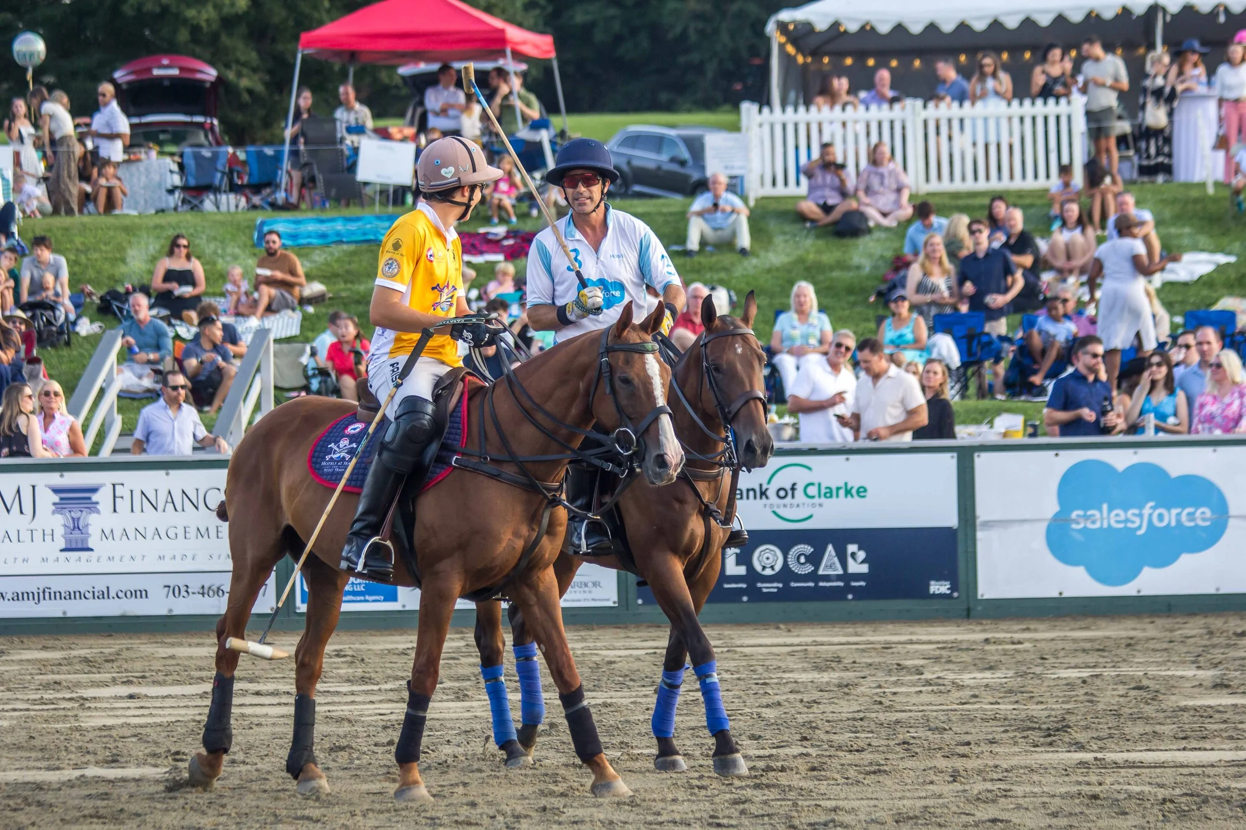 Polo in the Park -  Morven Parl -JULY 25 2026 _-165.jpg