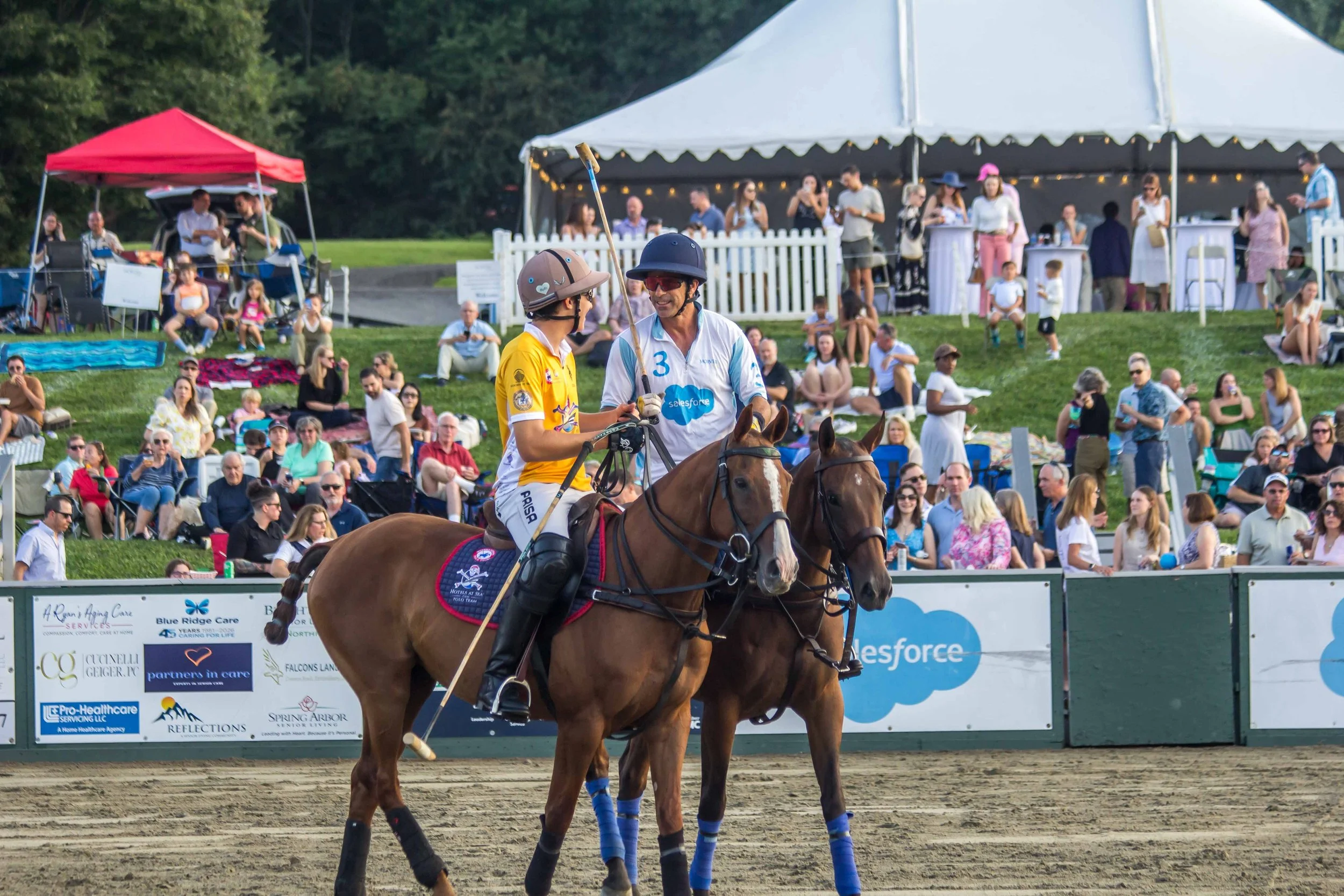 Polo in the Park -  Morven Parl -JULY 25 2026 _-166.jpg