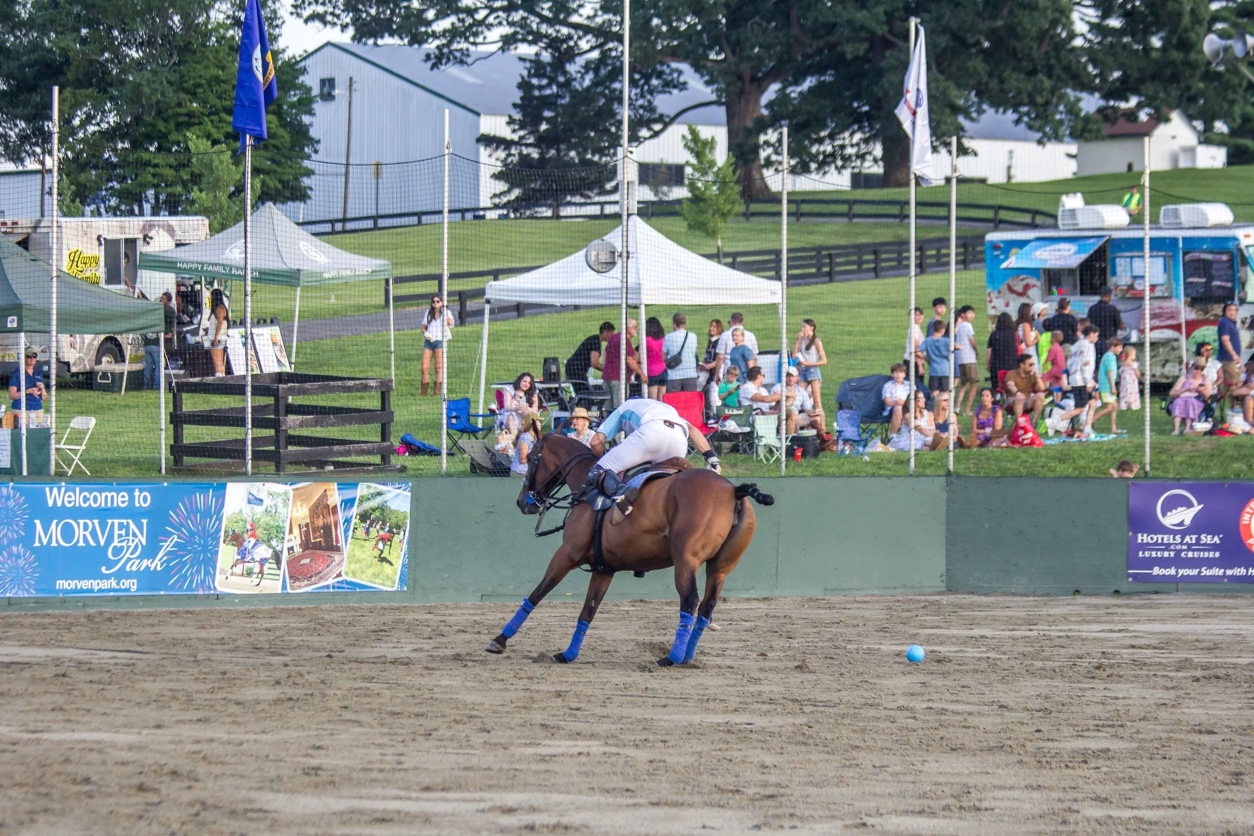 Polo in the Park -  Morven Parl -JULY 25 2026 _-183.jpg