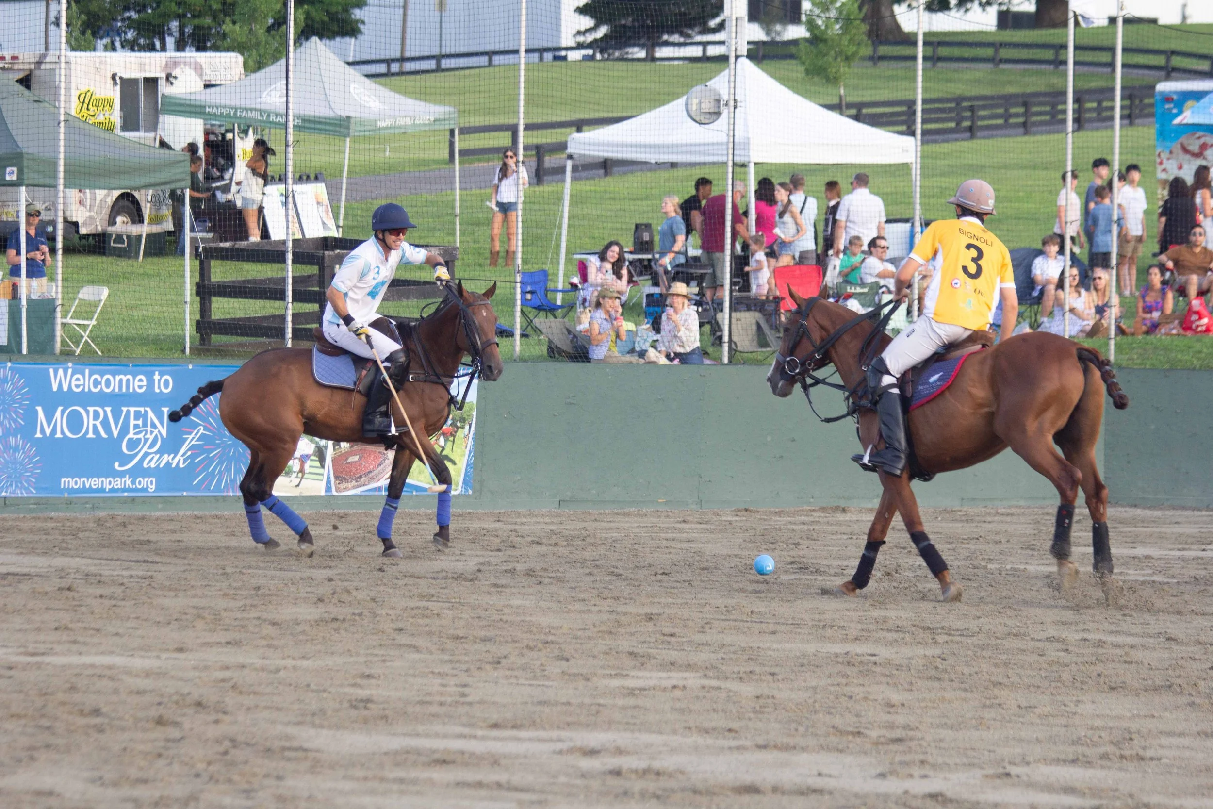 Polo in the Park -  Morven Parl -JULY 25 2026 _-189.jpg