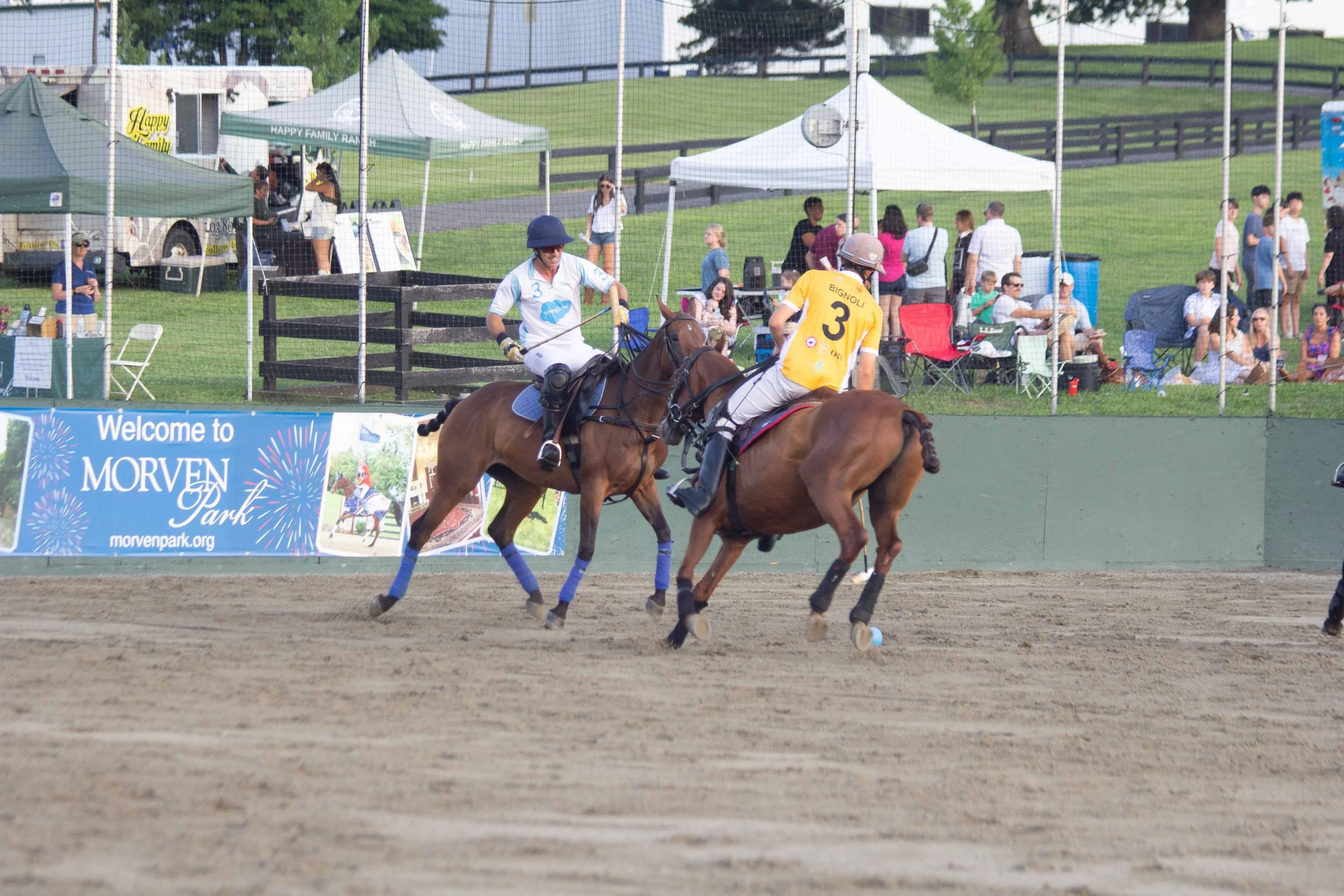 Polo in the Park -  Morven Parl -JULY 25 2026 _-192.jpg