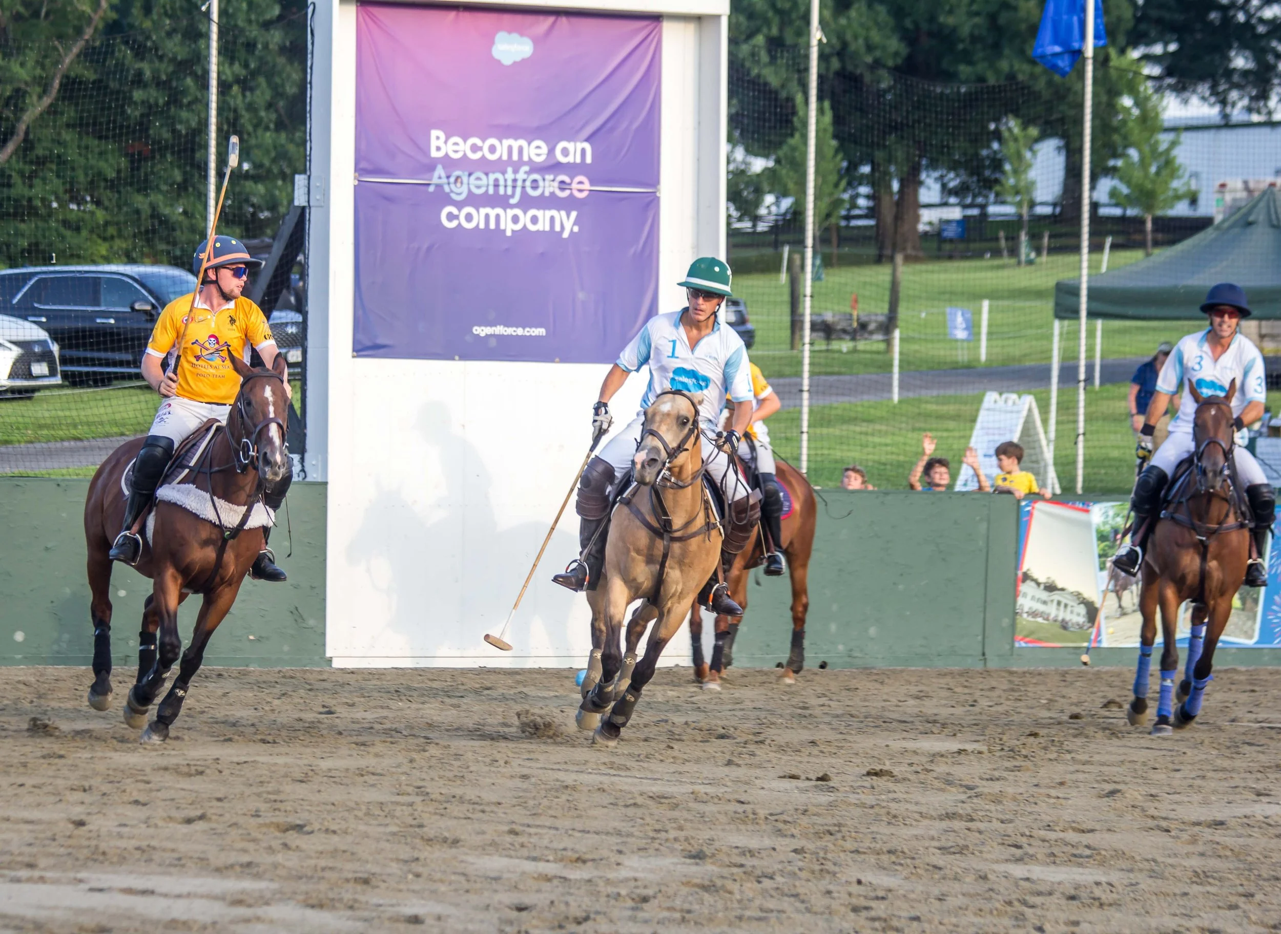 Polo in the Park -  Morven Parl -JULY 25 2026 _-233.jpg