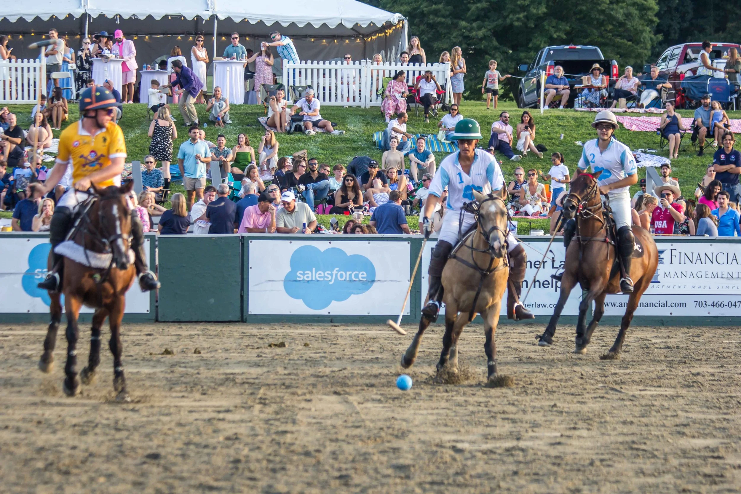 Polo in the Park -  Morven Parl -JULY 25 2026 _-241.jpg