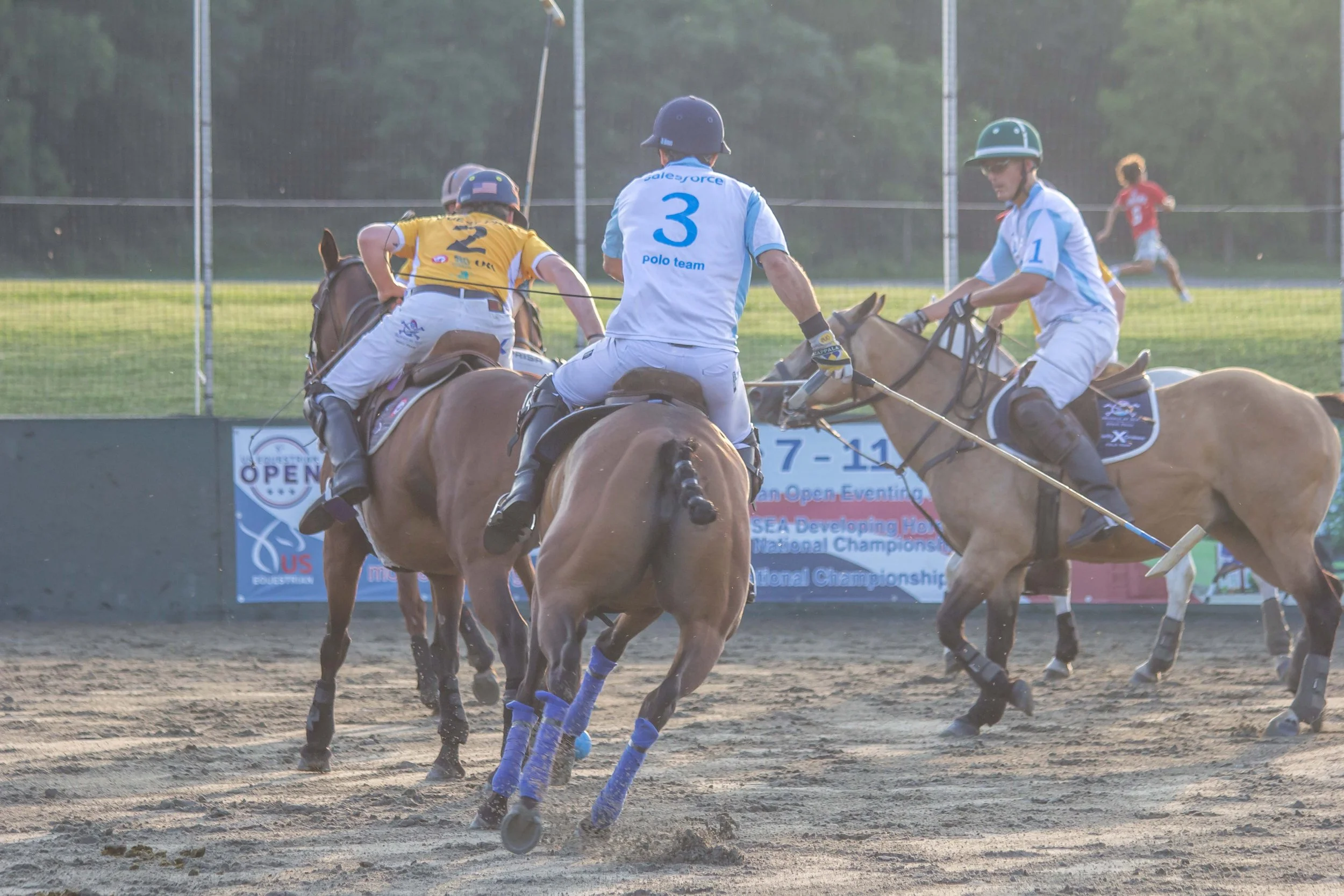 Polo in the Park -  Morven Parl -JULY 25 2026 _-247.jpg