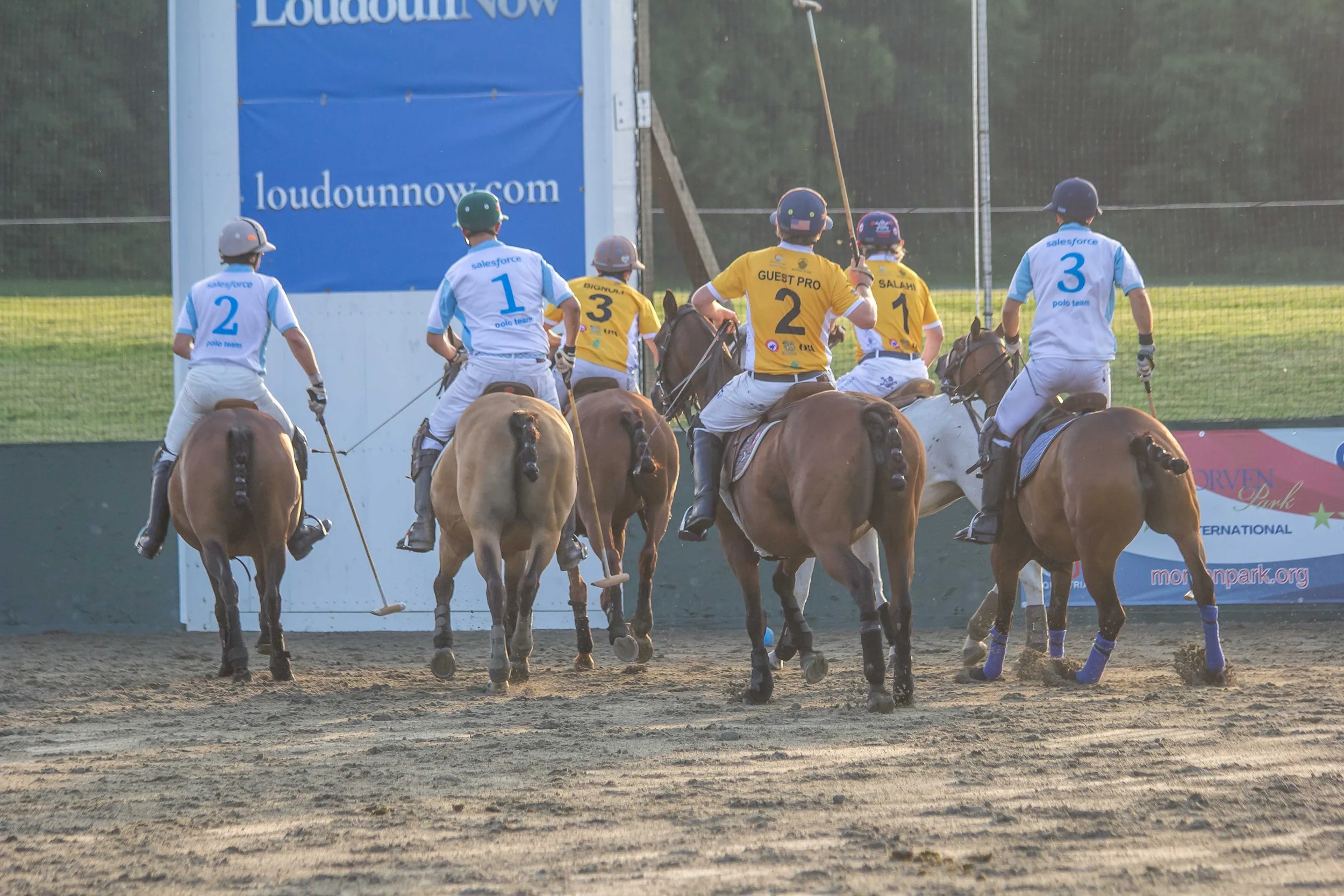 Polo in the Park -  Morven Parl -JULY 25 2026 _-248.jpg