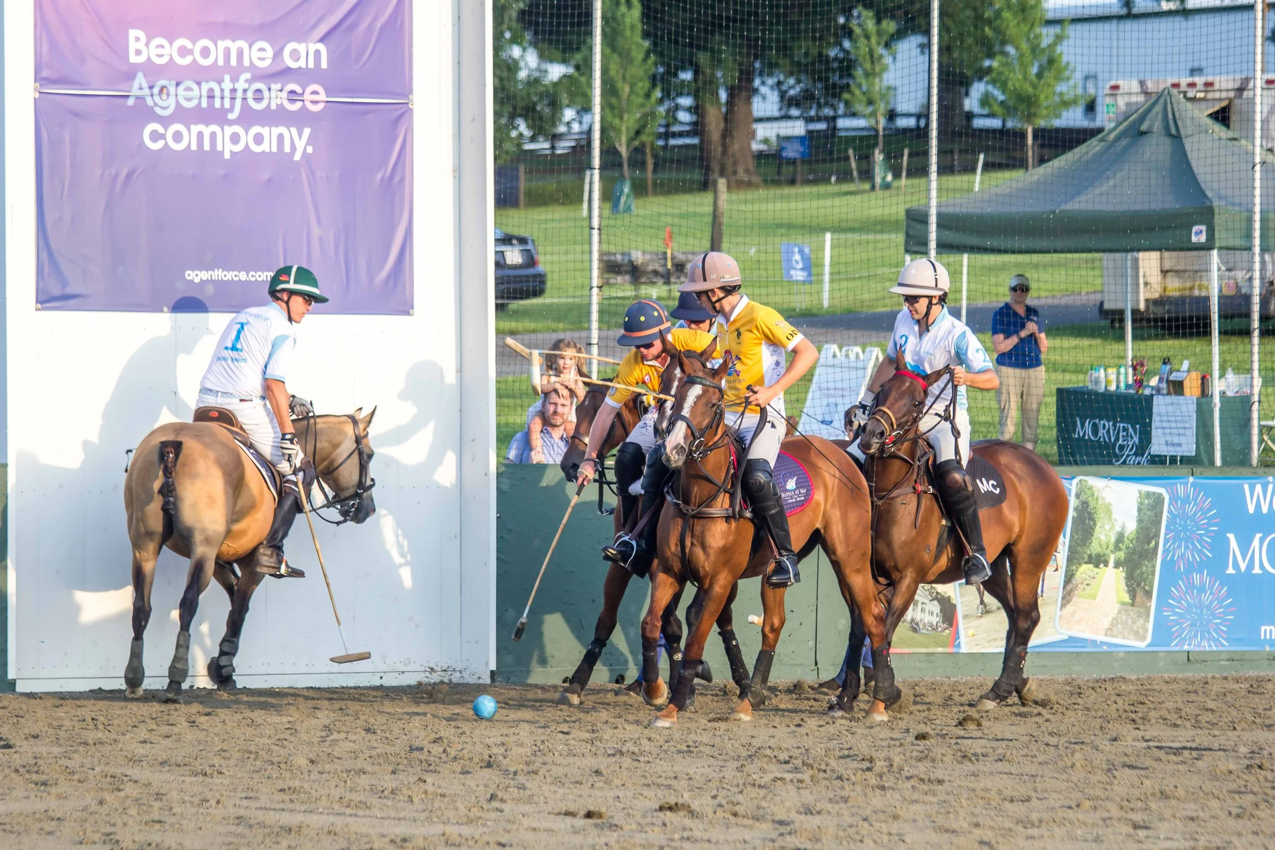 Polo in the Park -  Morven Parl -JULY 25 2026 _-252.jpg