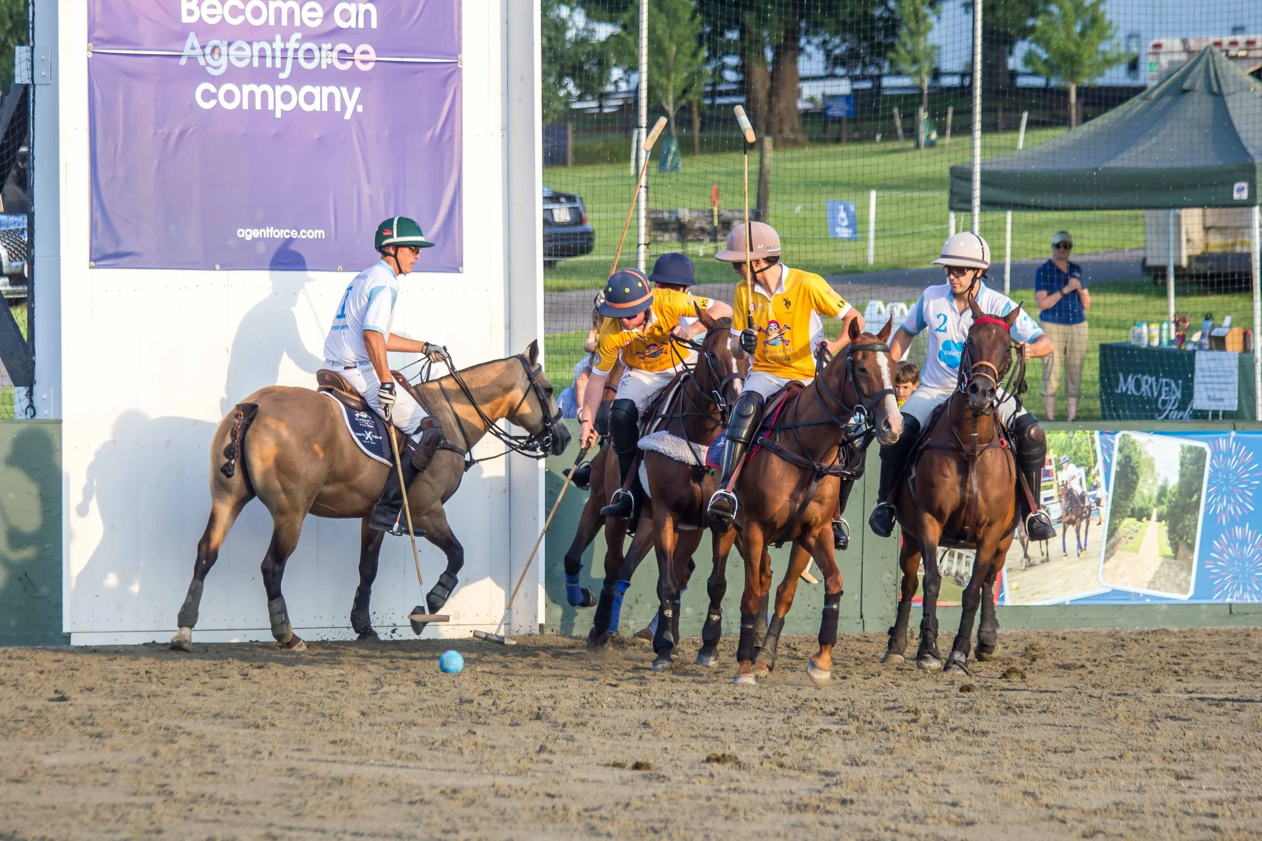 Polo in the Park -  Morven Parl -JULY 25 2026 _-253.jpg