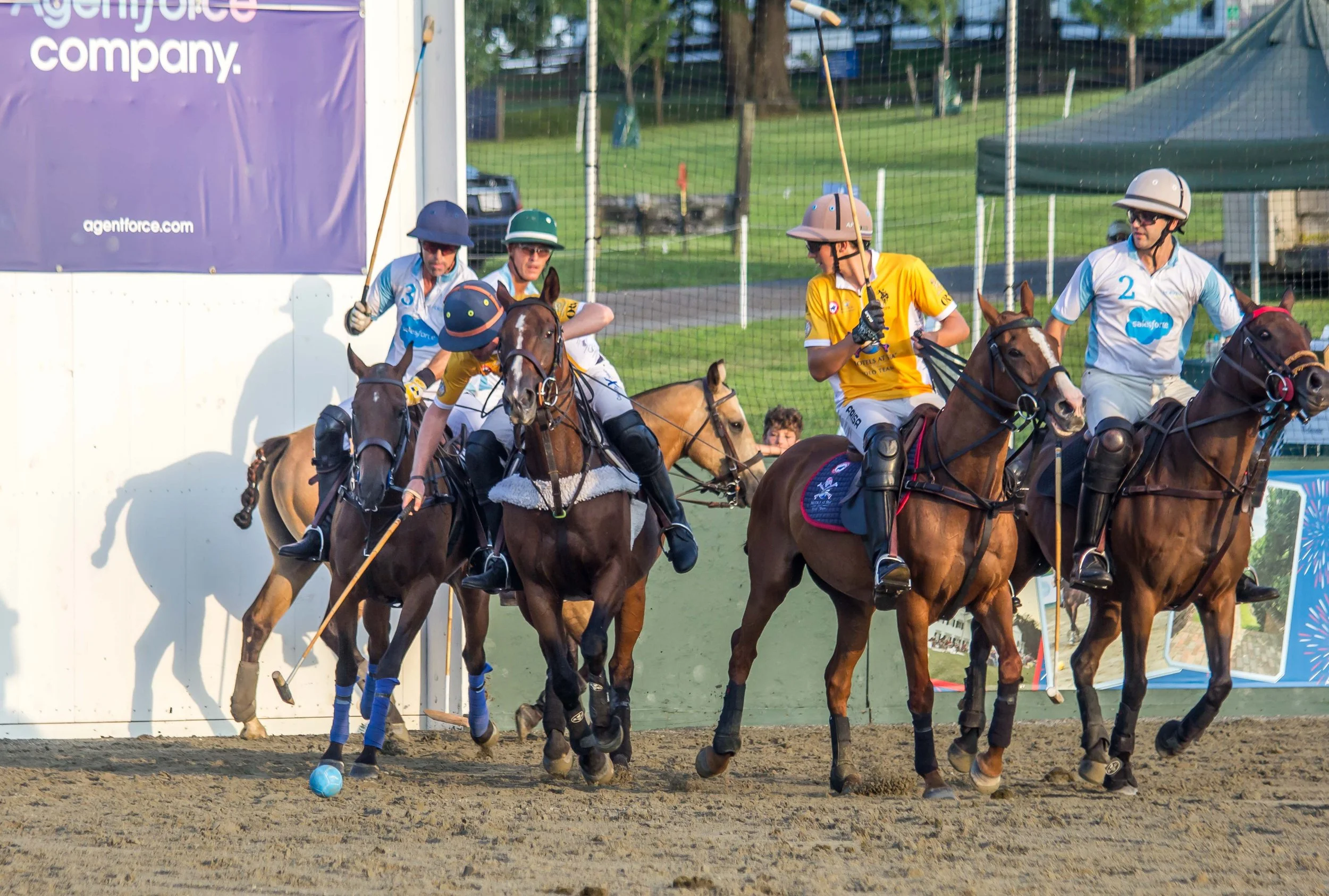 Polo in the Park -  Morven Parl -JULY 25 2026 _-255.jpg