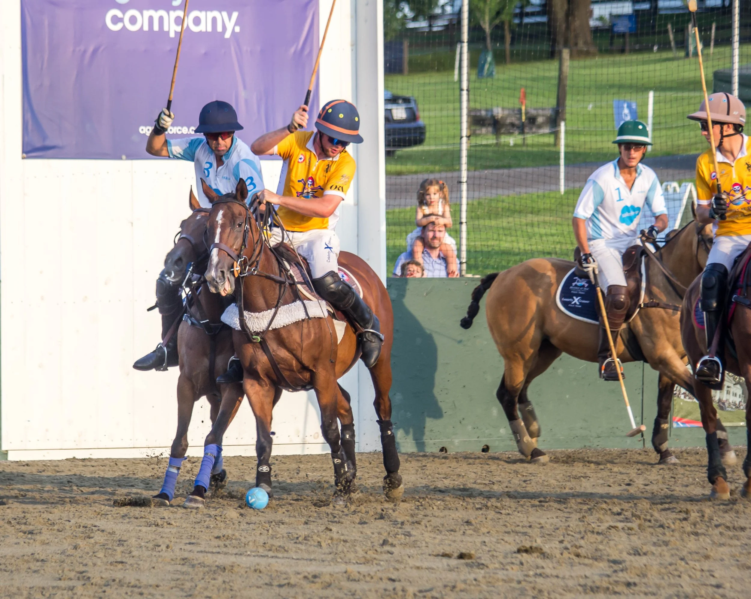 Polo in the Park -  Morven Parl -JULY 25 2026 _-257.jpg