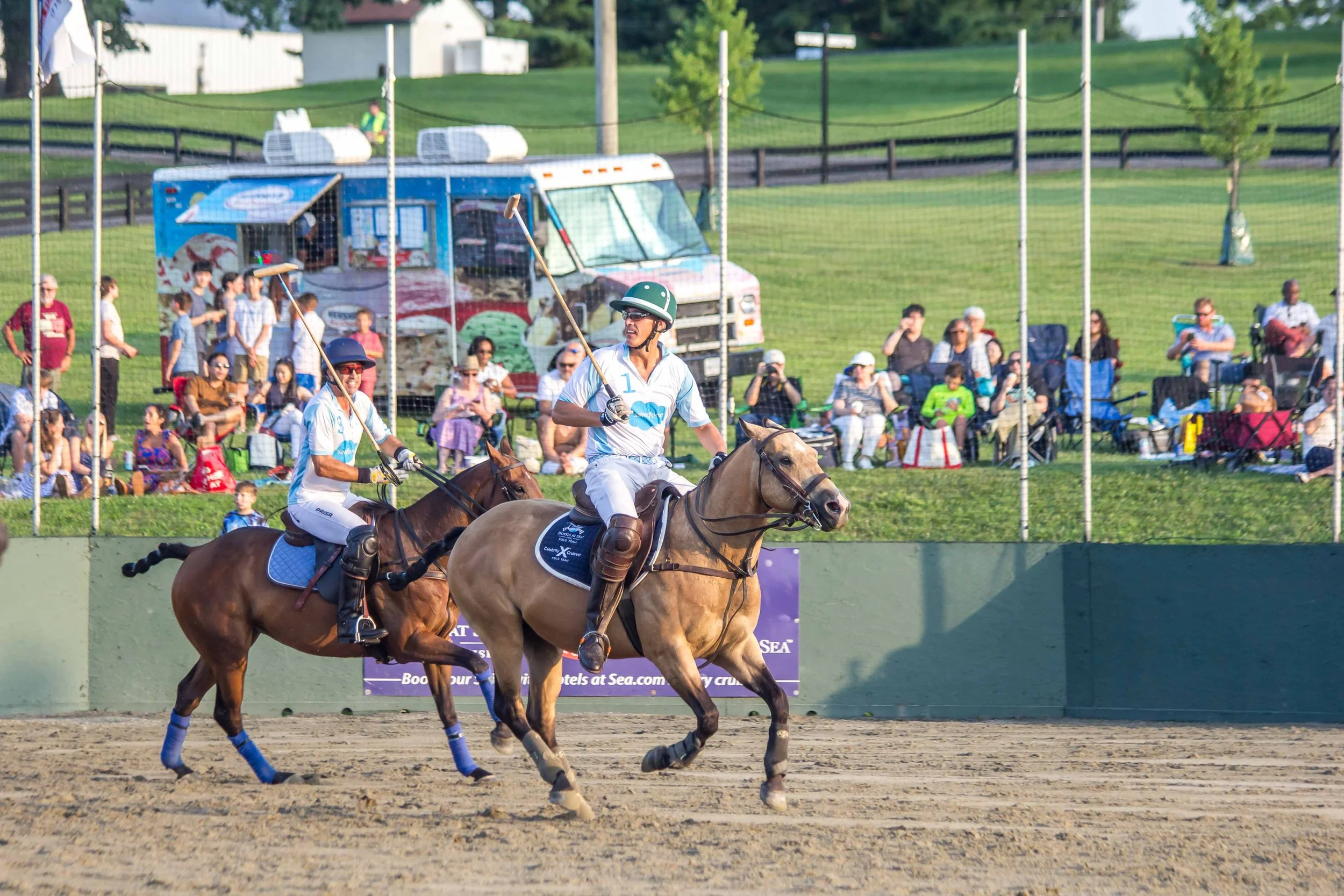 Polo in the Park -  Morven Parl -JULY 25 2026 _-261.jpg