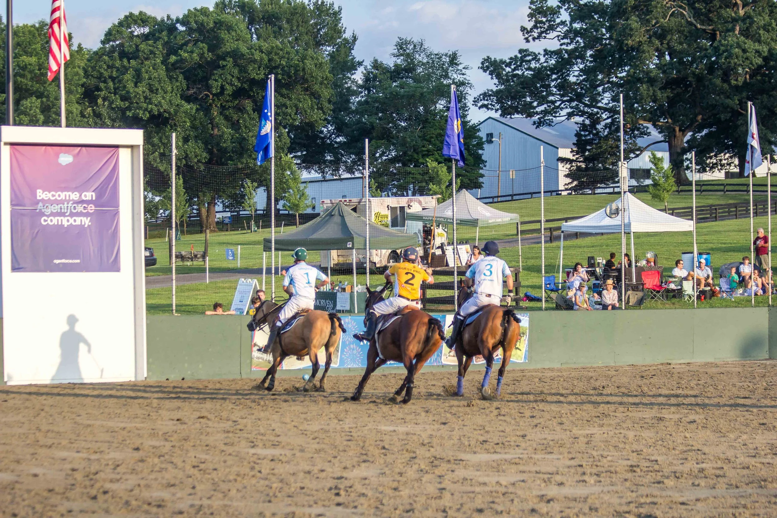 Polo in the Park -  Morven Parl -JULY 25 2026 _-270.jpg