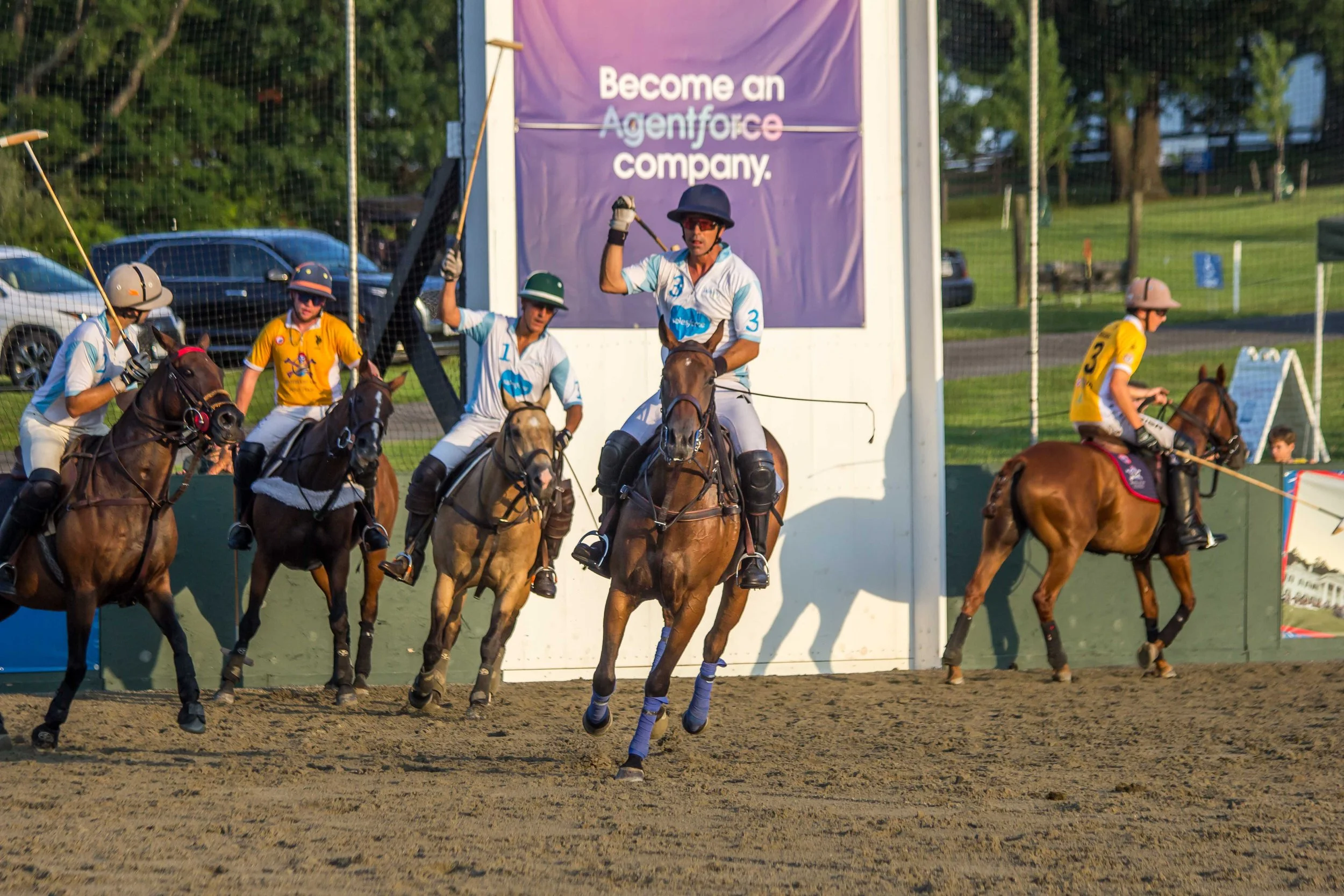 Polo in the Park -  Morven Parl -JULY 25 2026 _-305.jpg