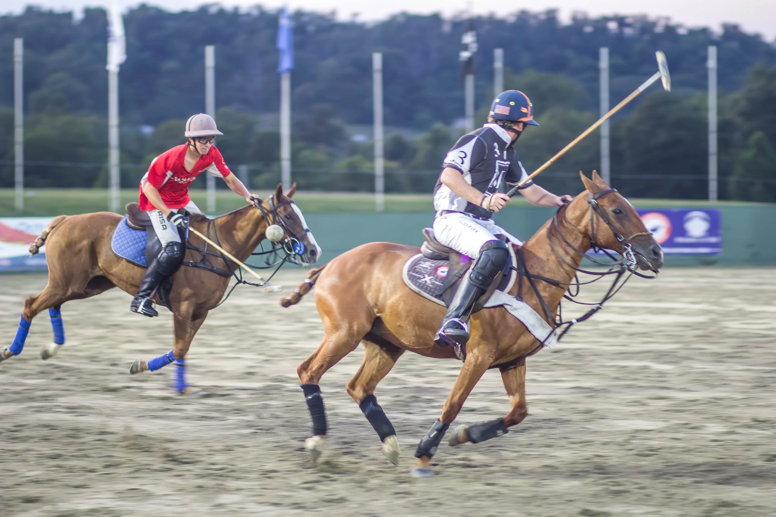Polo in the Park -  Morven Parl -JULY 25 2026 _-640.jpg