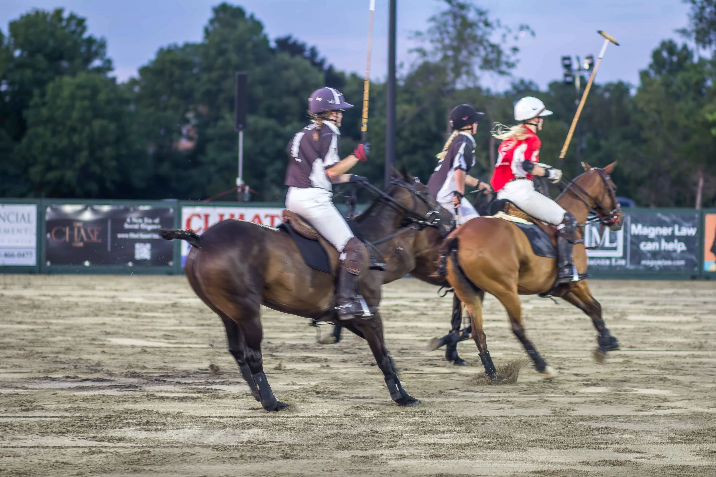 Polo in the Park -  Morven Parl -JULY 25 2026 _-643.jpg