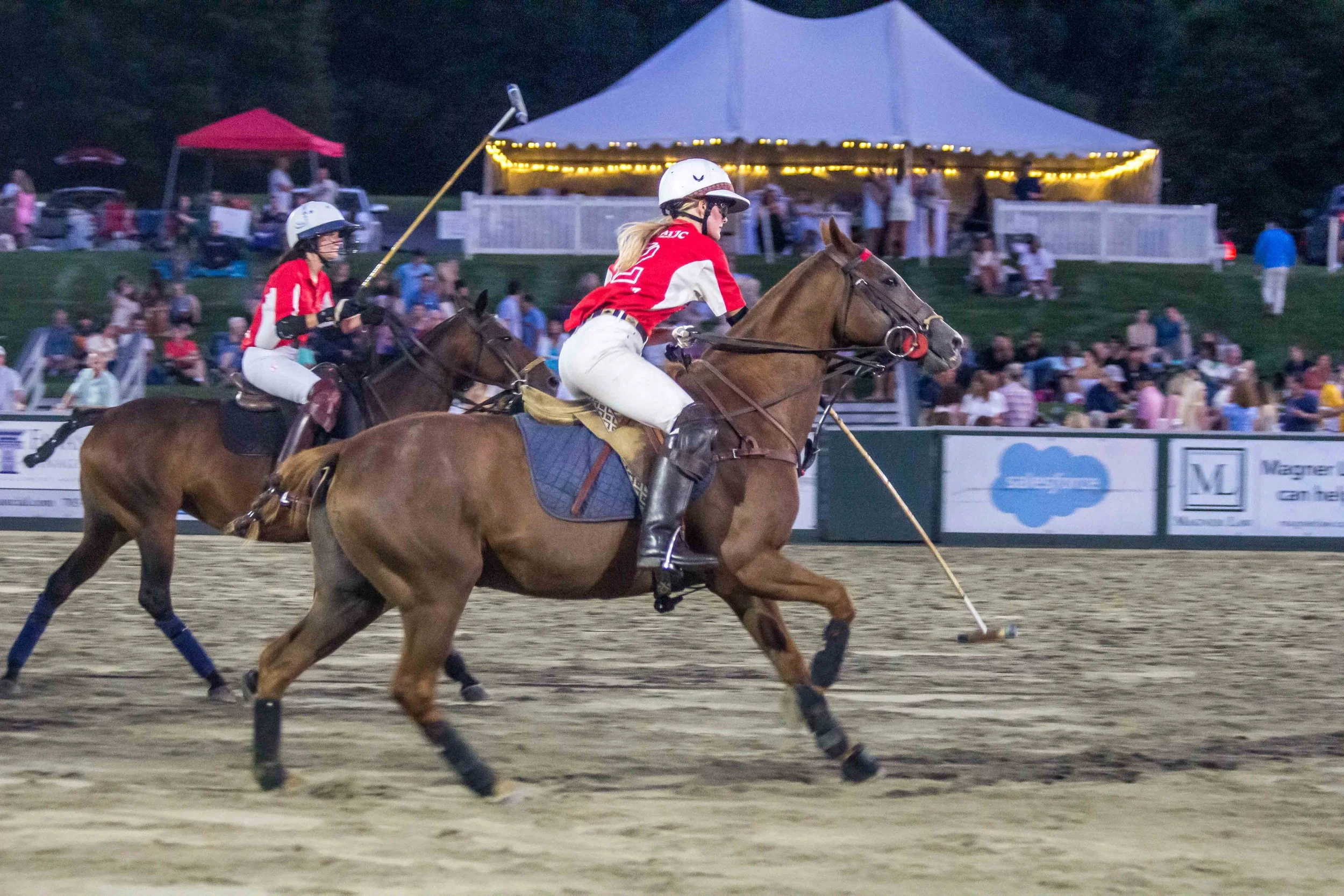Polo in the Park -  Morven Parl -JULY 25 2026 _-672.jpg