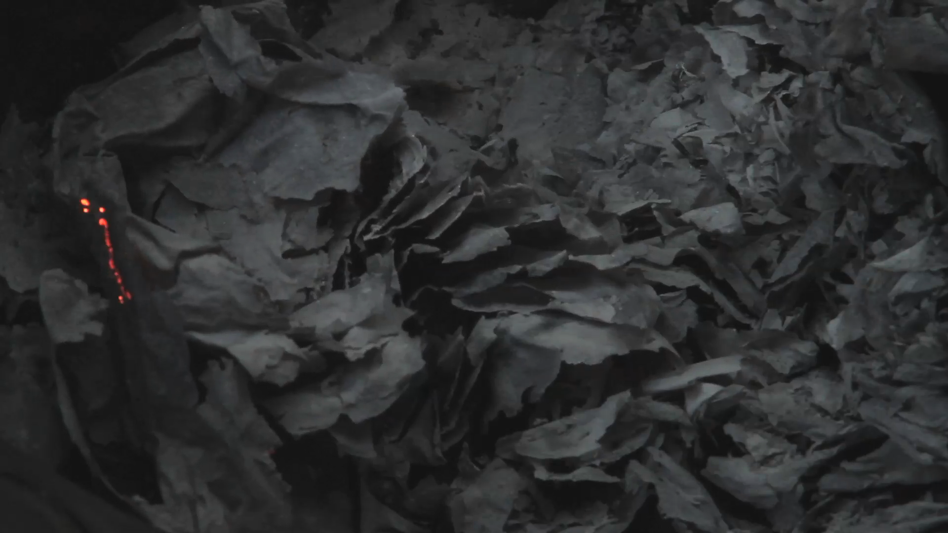 Video Still