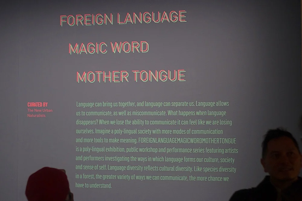 foreign-language-magic-word-mother-tongue---opening-reception_32884260674_o copy.jpg