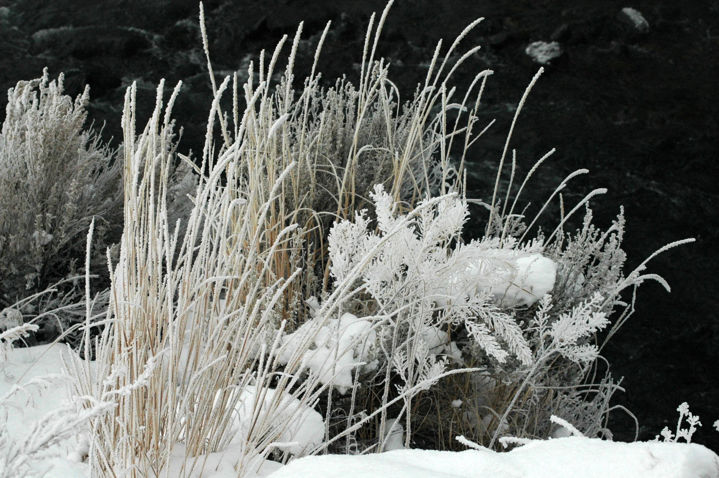 A Sparkling January Day