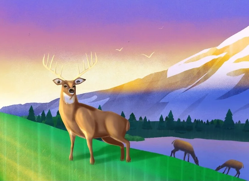 065043D2-C747-49D0-BC7B-F8F989A8A08A