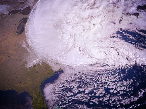 NRDC-polarbears.jpg