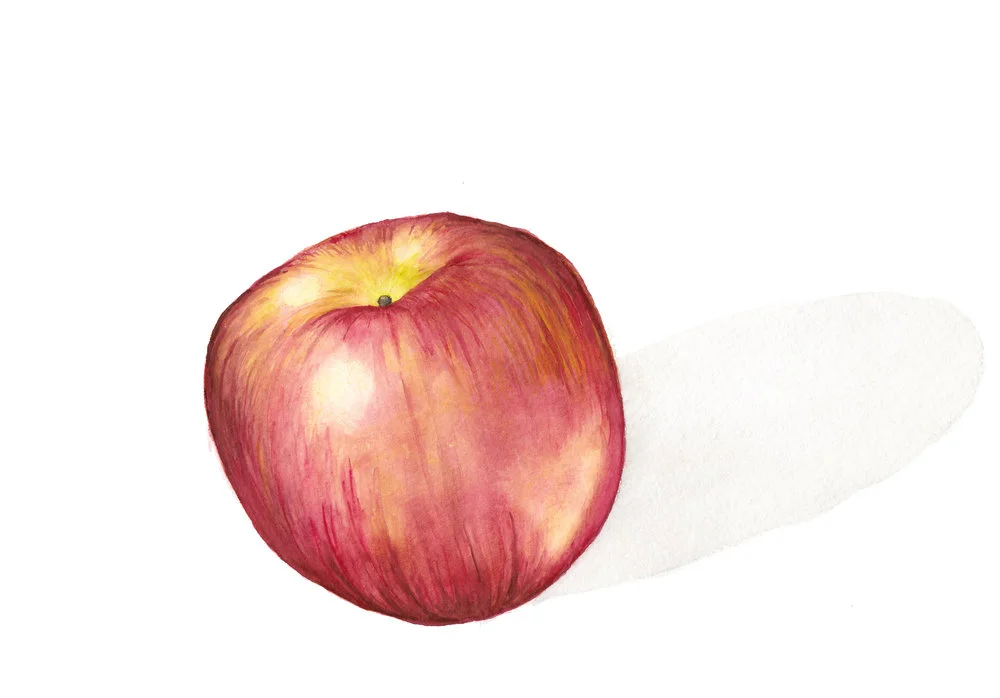 Apple a Day