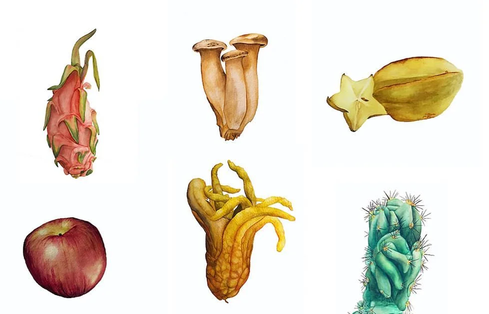 botanicals.jpg