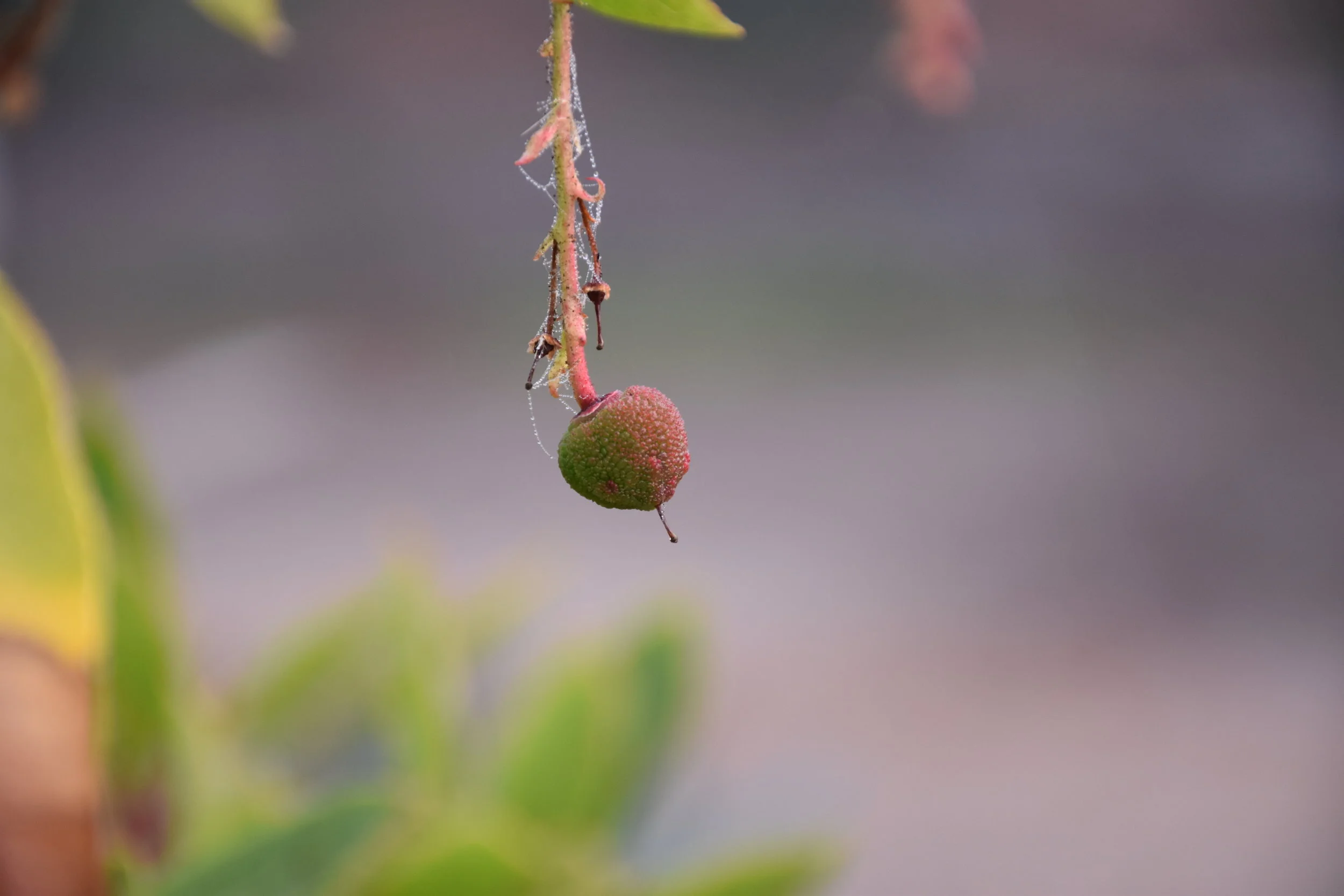 How Mind-Body Therapies Help Release Stress and Trauma