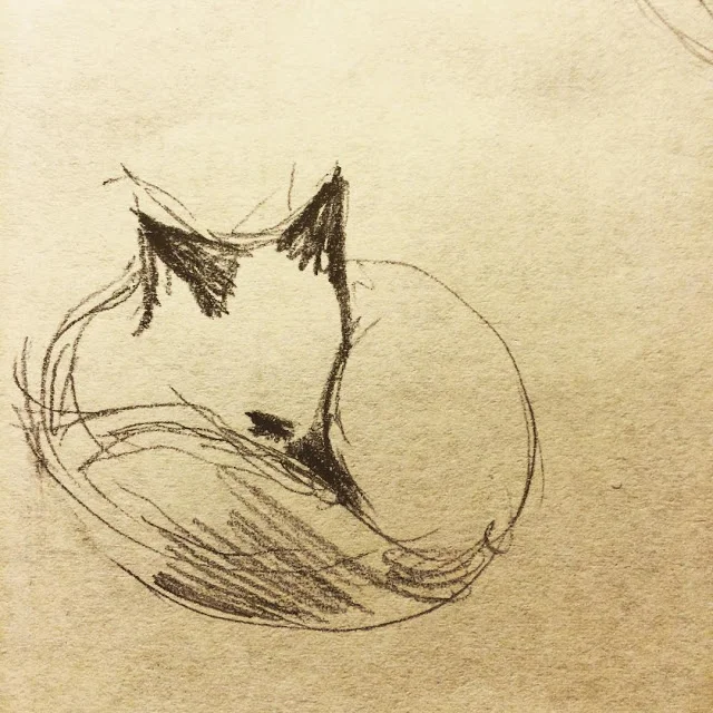 fox sleeping.jpg