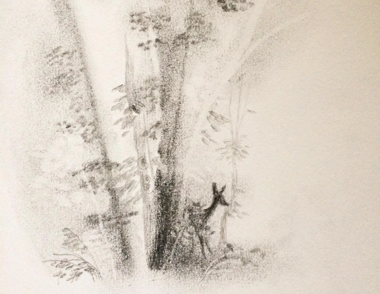 Deer.jpg