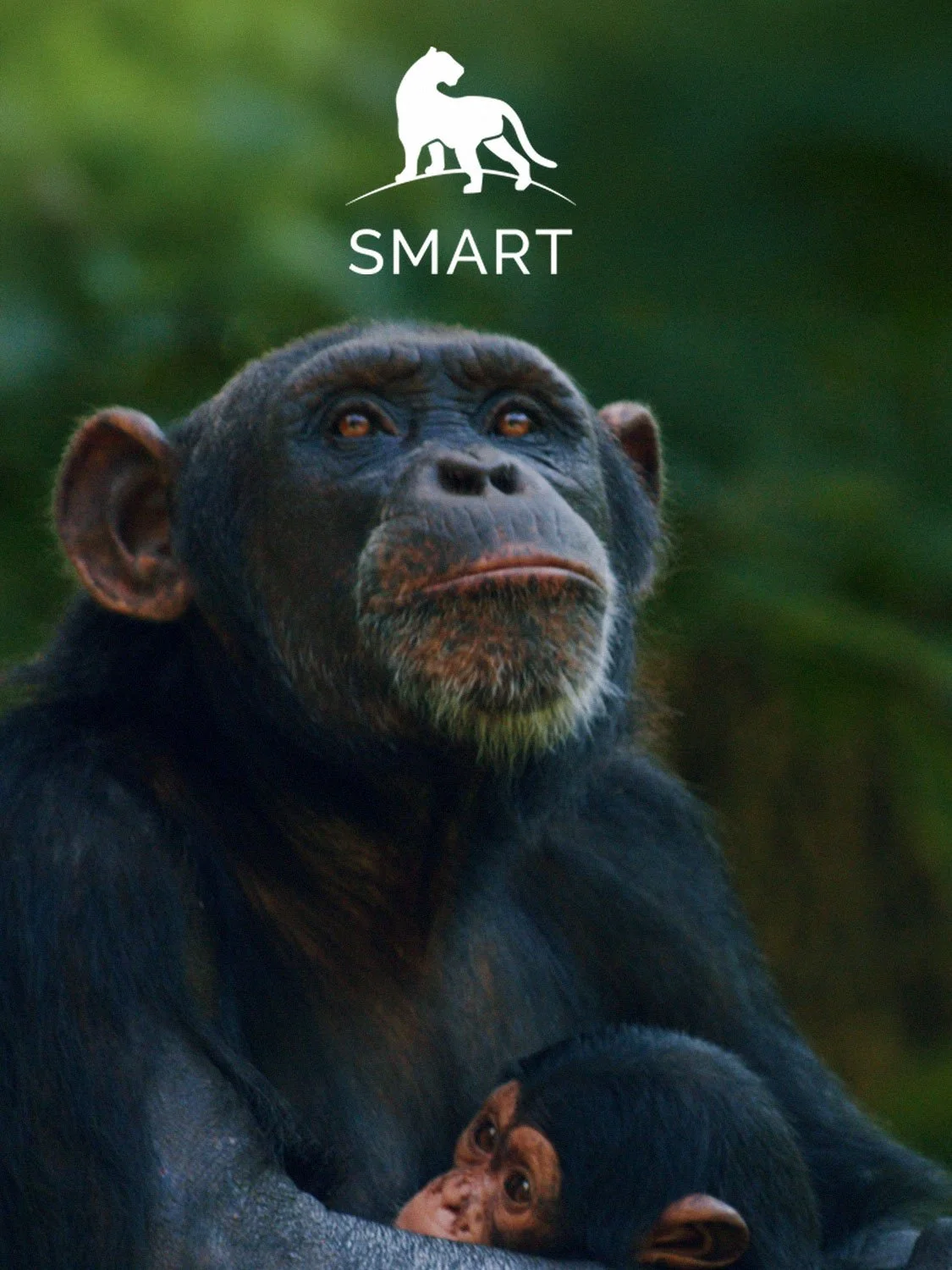 NC ZOO &amp; SMART