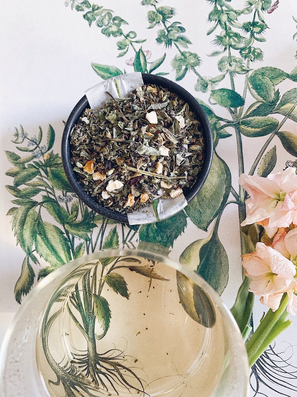 glass french press — blushing wren . teas & botanicals