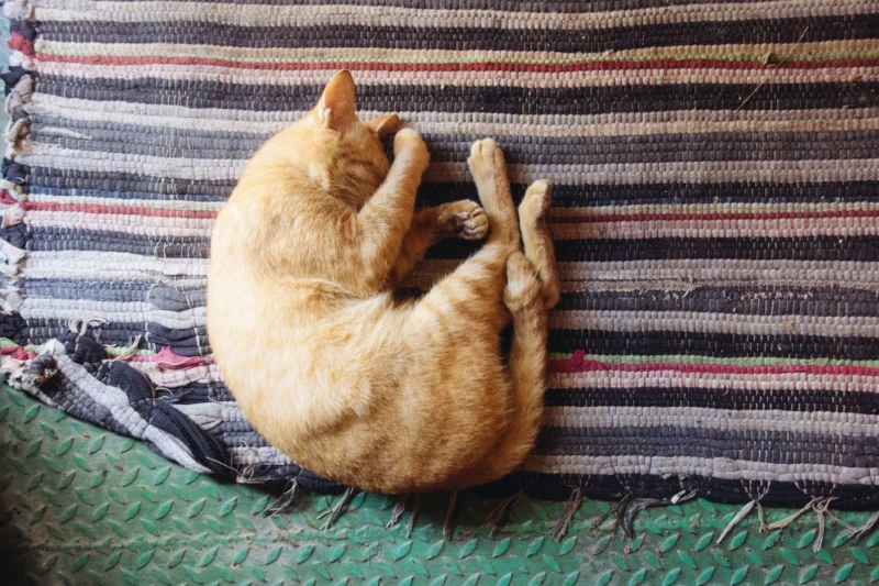 Photo credit: Photo by Sarah Ball on Unsplash
