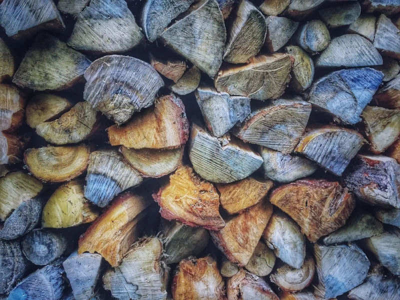 Photo by nishan joomun on Unsplash