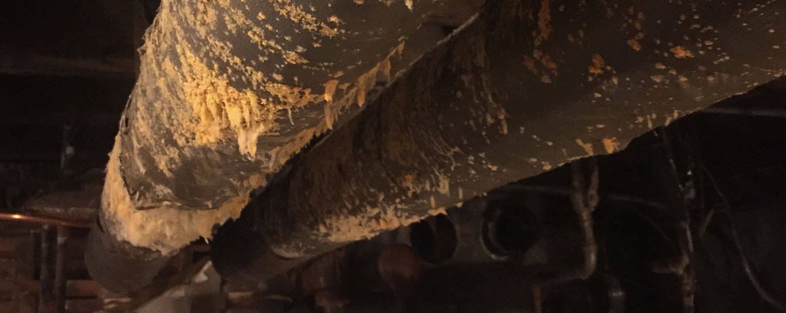 MOLD REMOVAL Mold spores are present almost everywhere. It is not until you have the right growing environment that you begin... Learn More →