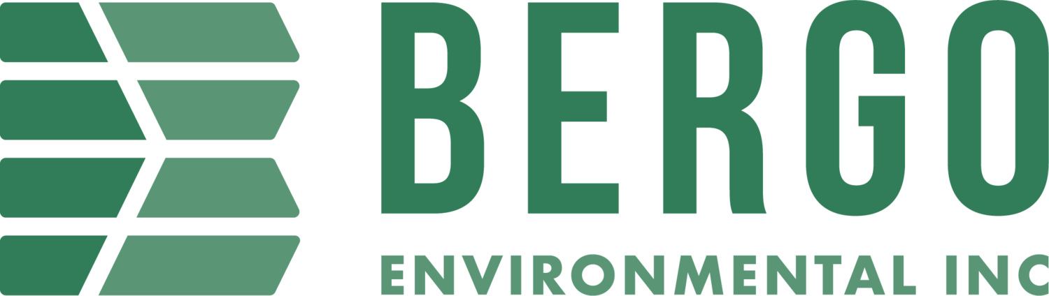 Bergo Environmental Inc