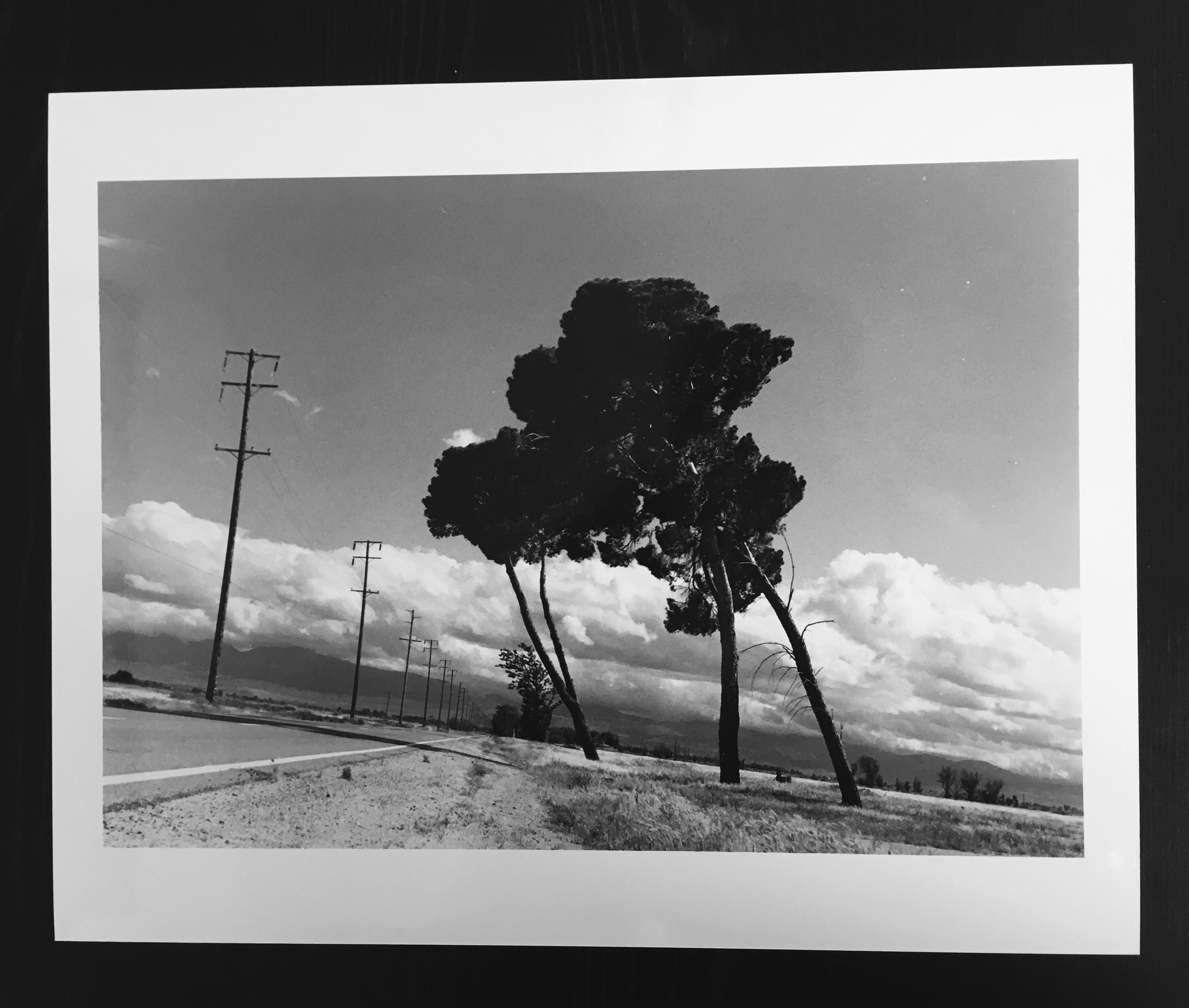 Desert Forms / Untitled #5