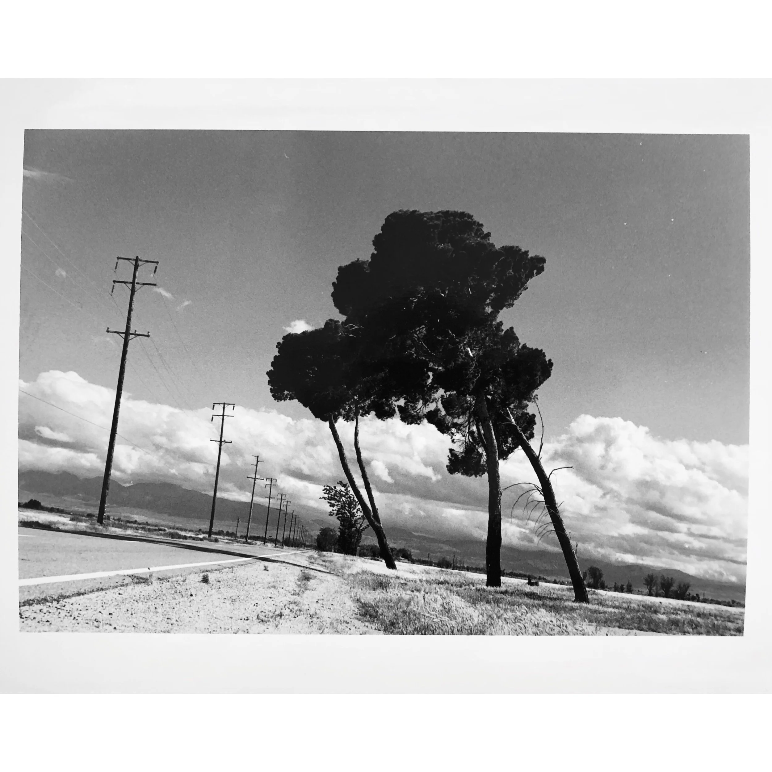 tempImageForSave 4.JPG