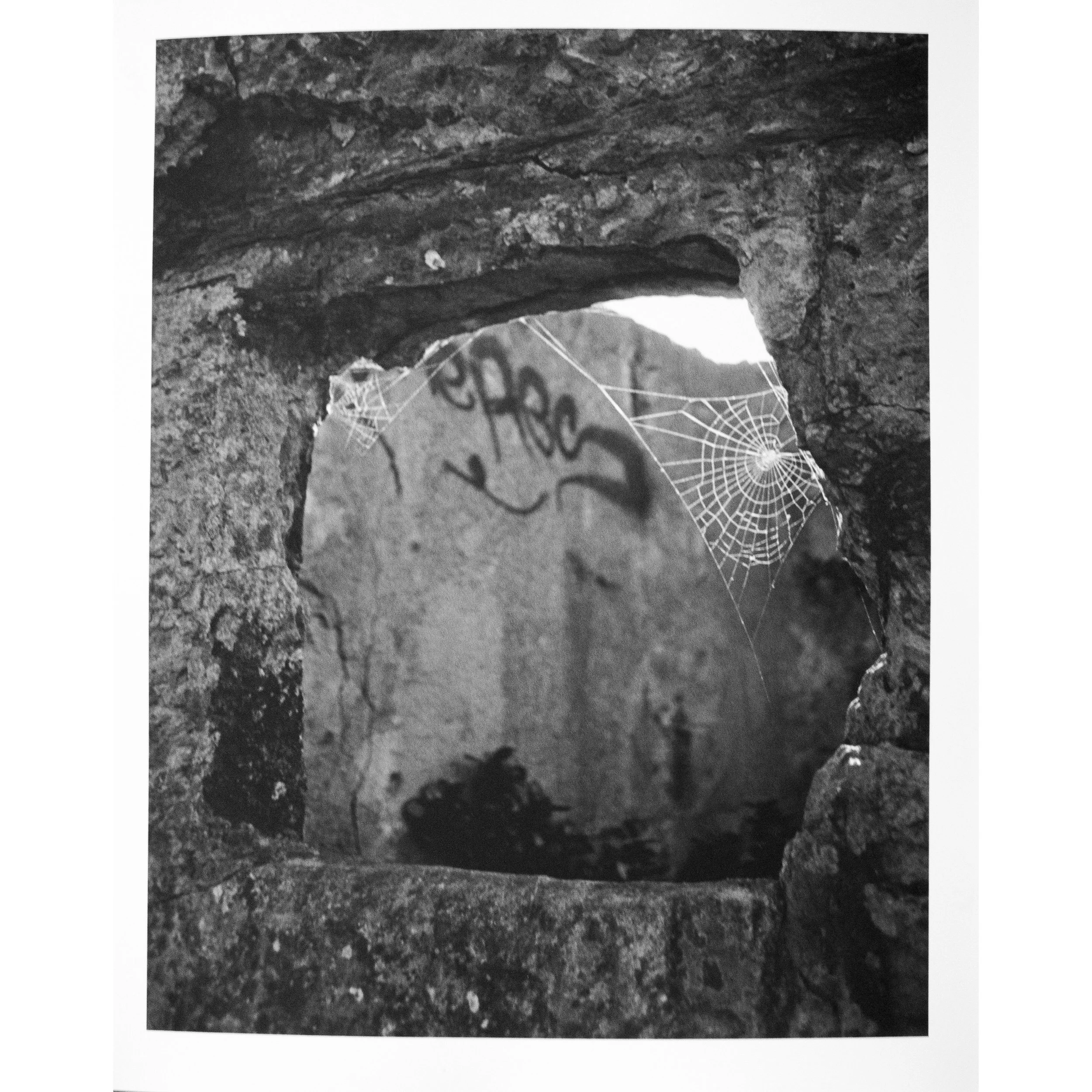 Whitagram-Image 2.JPG