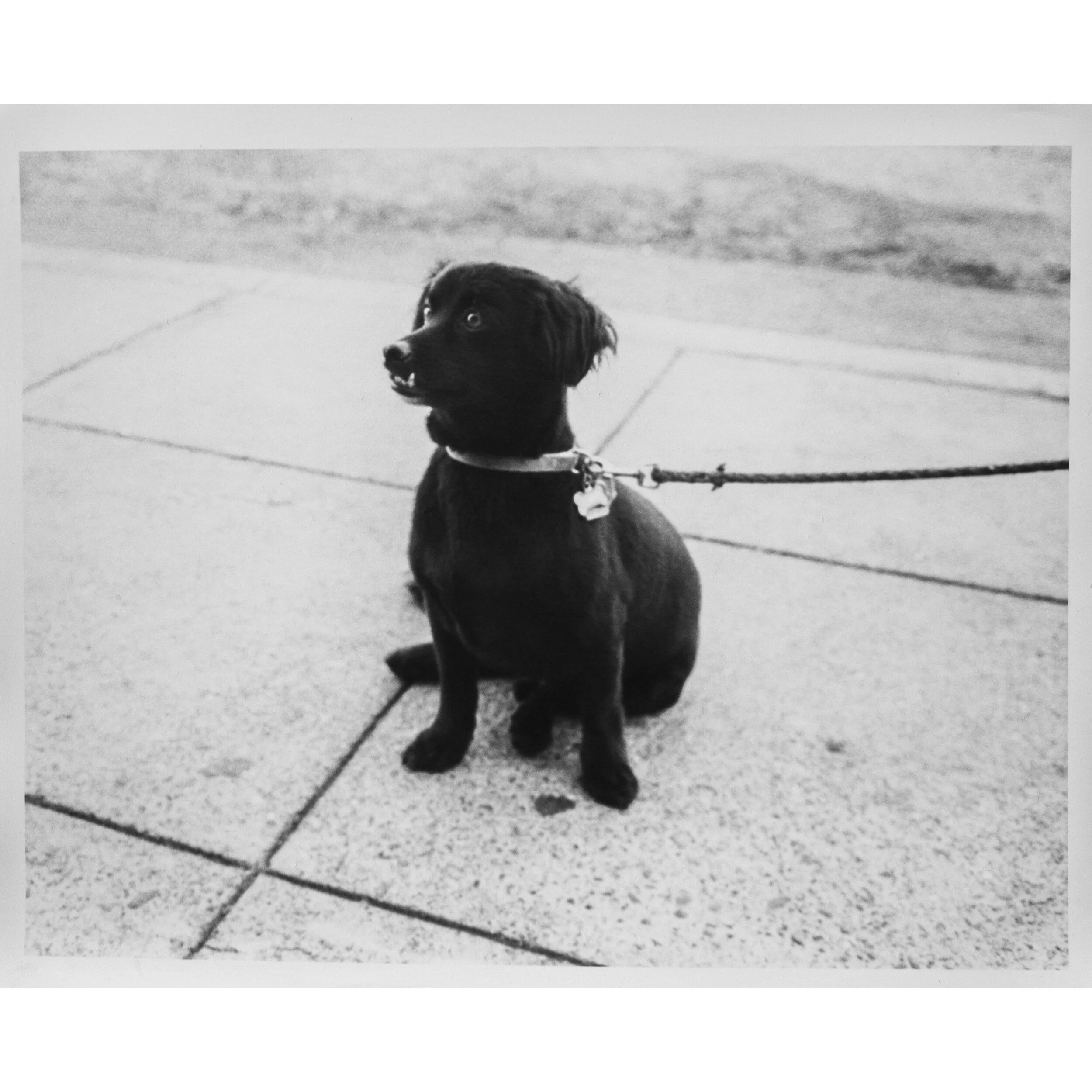 Whitagram-Image 2.JPG